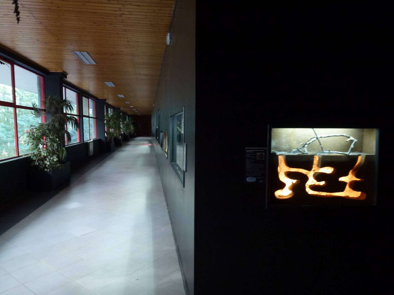 Reptile house, November 2013.