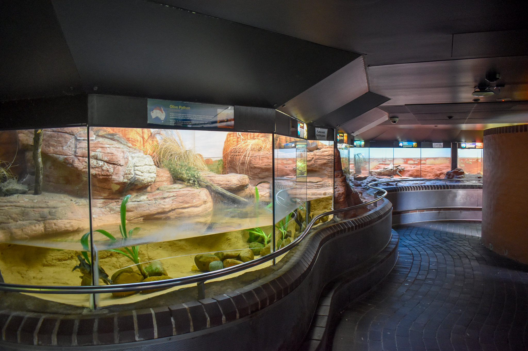 Reptile House - Olive Python Enclosure