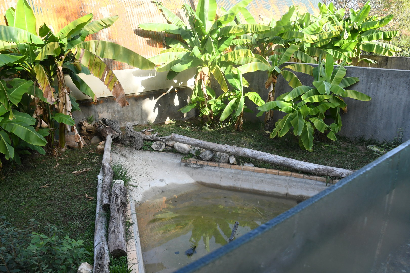 Reptile House (one of outdoor exhibits)