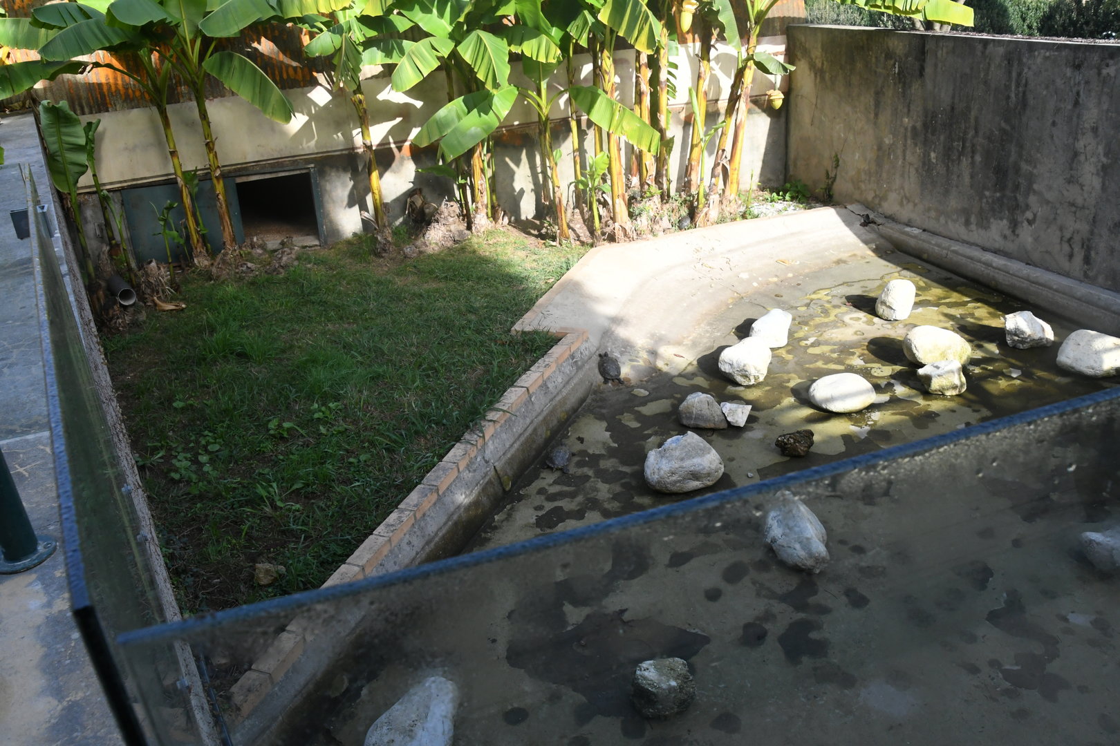 Reptile House (one of outdoor exhibits)
