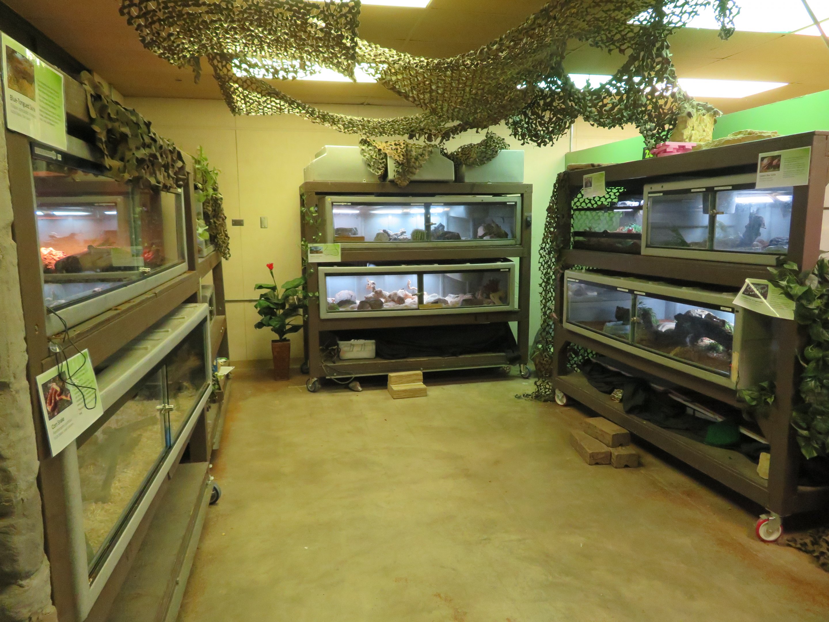 Reptile House (One Room)