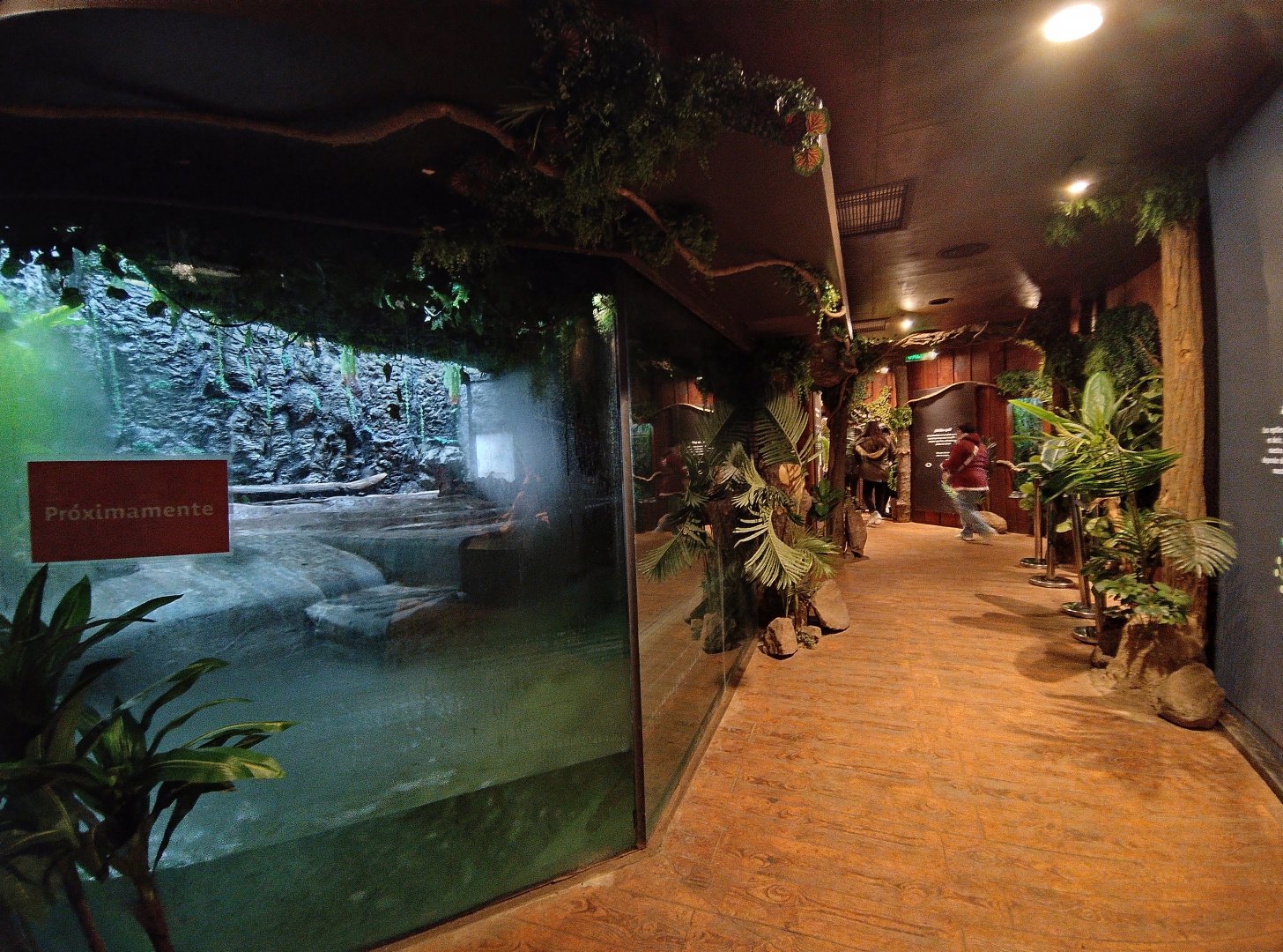 Reptile house overview - Santiago zoo (Zoologico nacional)