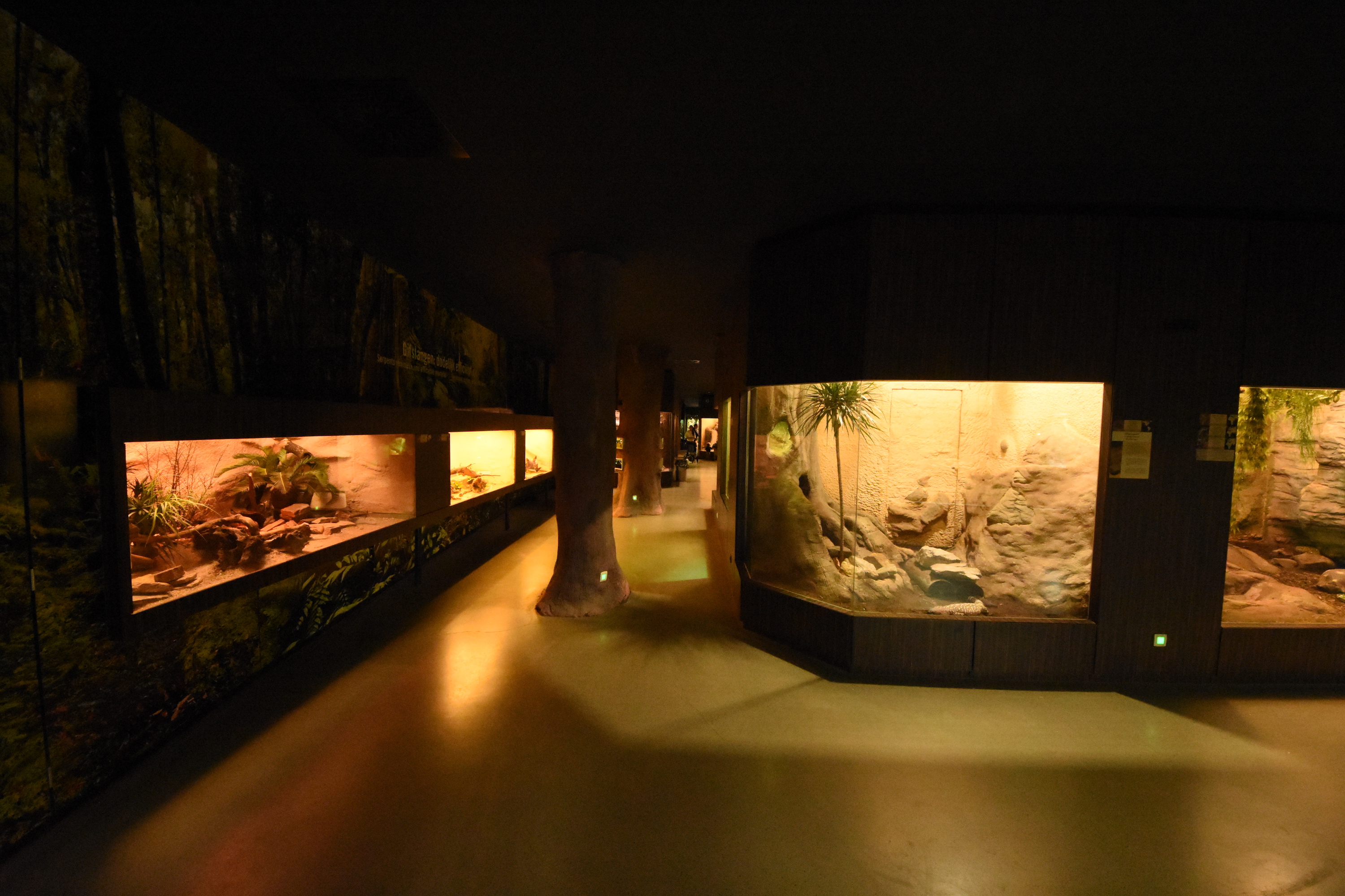 Reptile house - overview