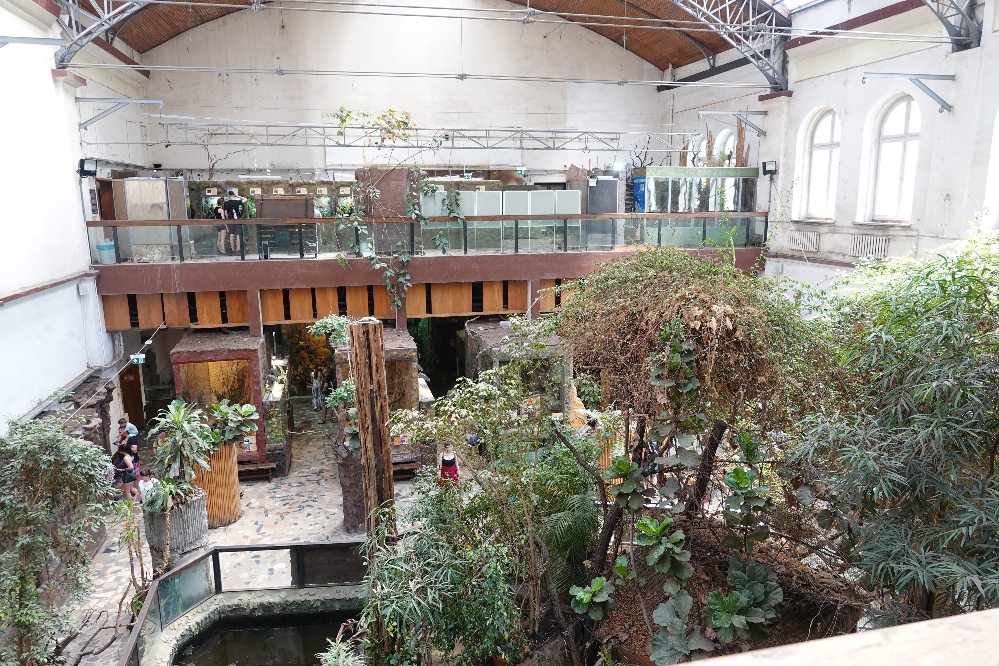 Reptile house overview