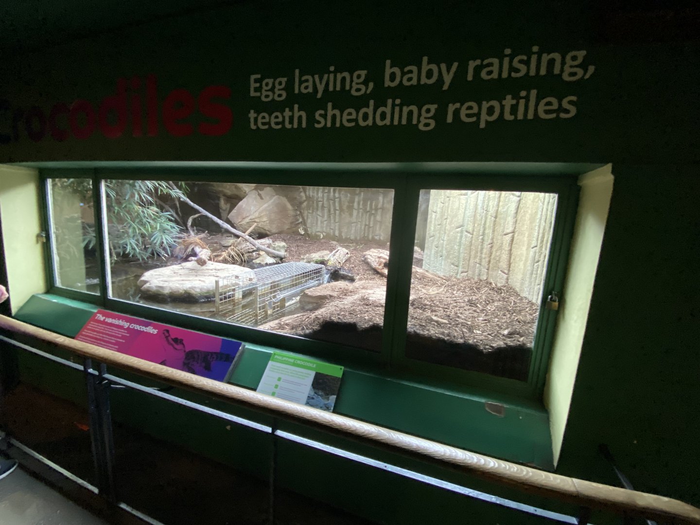 Reptile House - Philippine crocodile exhibit 180322