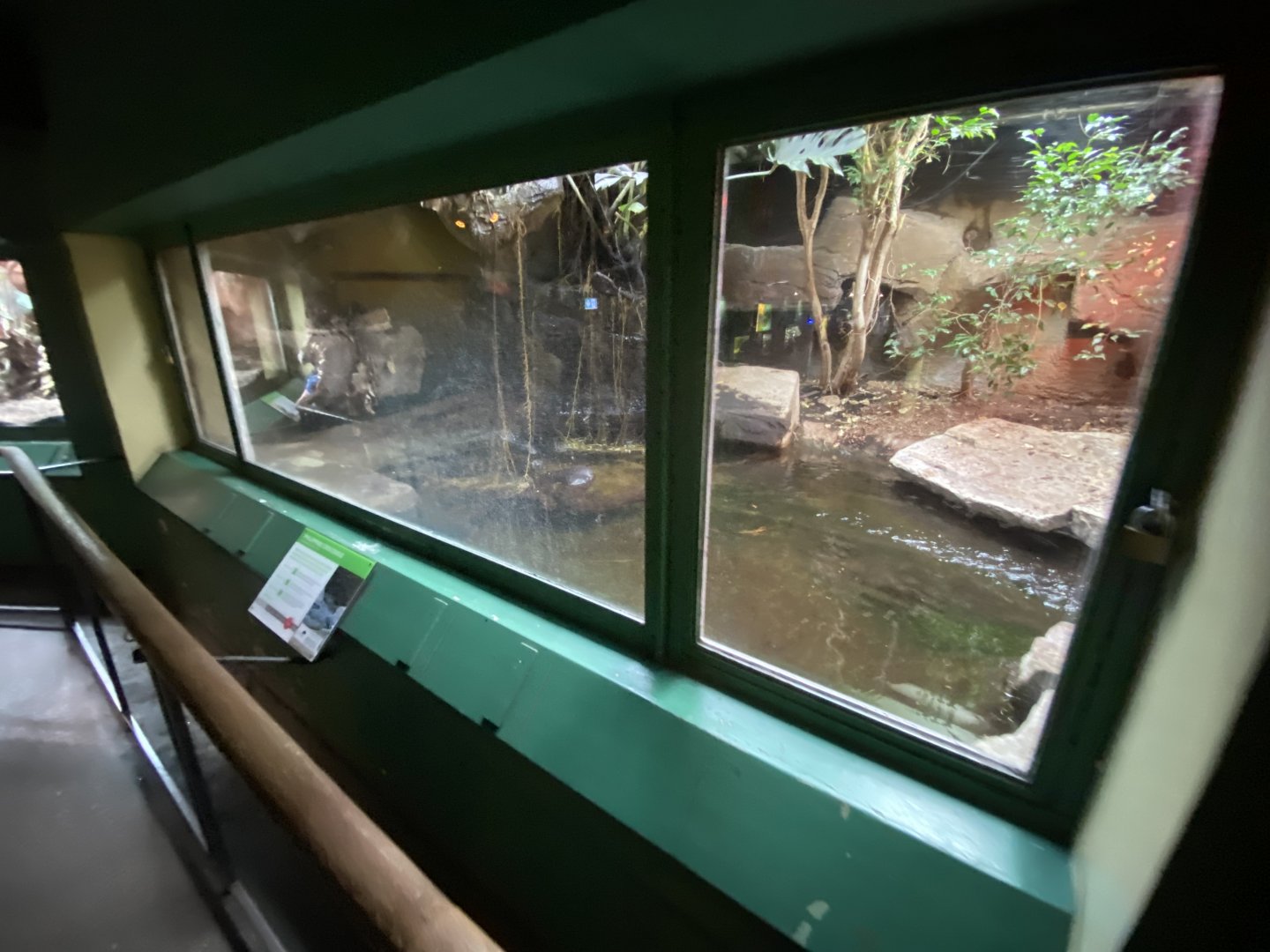 Reptile House - Philippine crocodile exhibit 180322