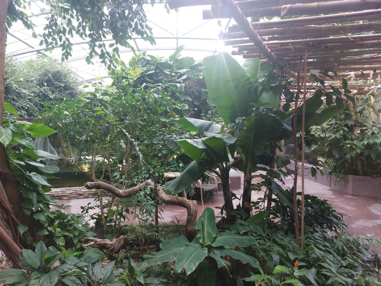 Reptile house -rainforest hall