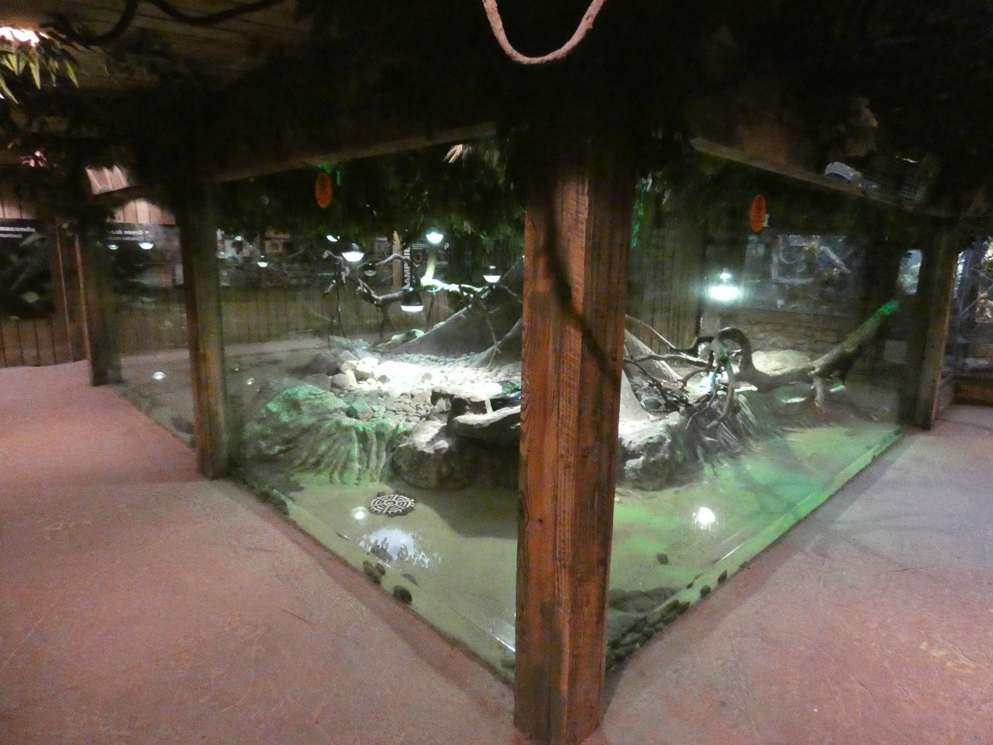 Reptile house, record breakers zone