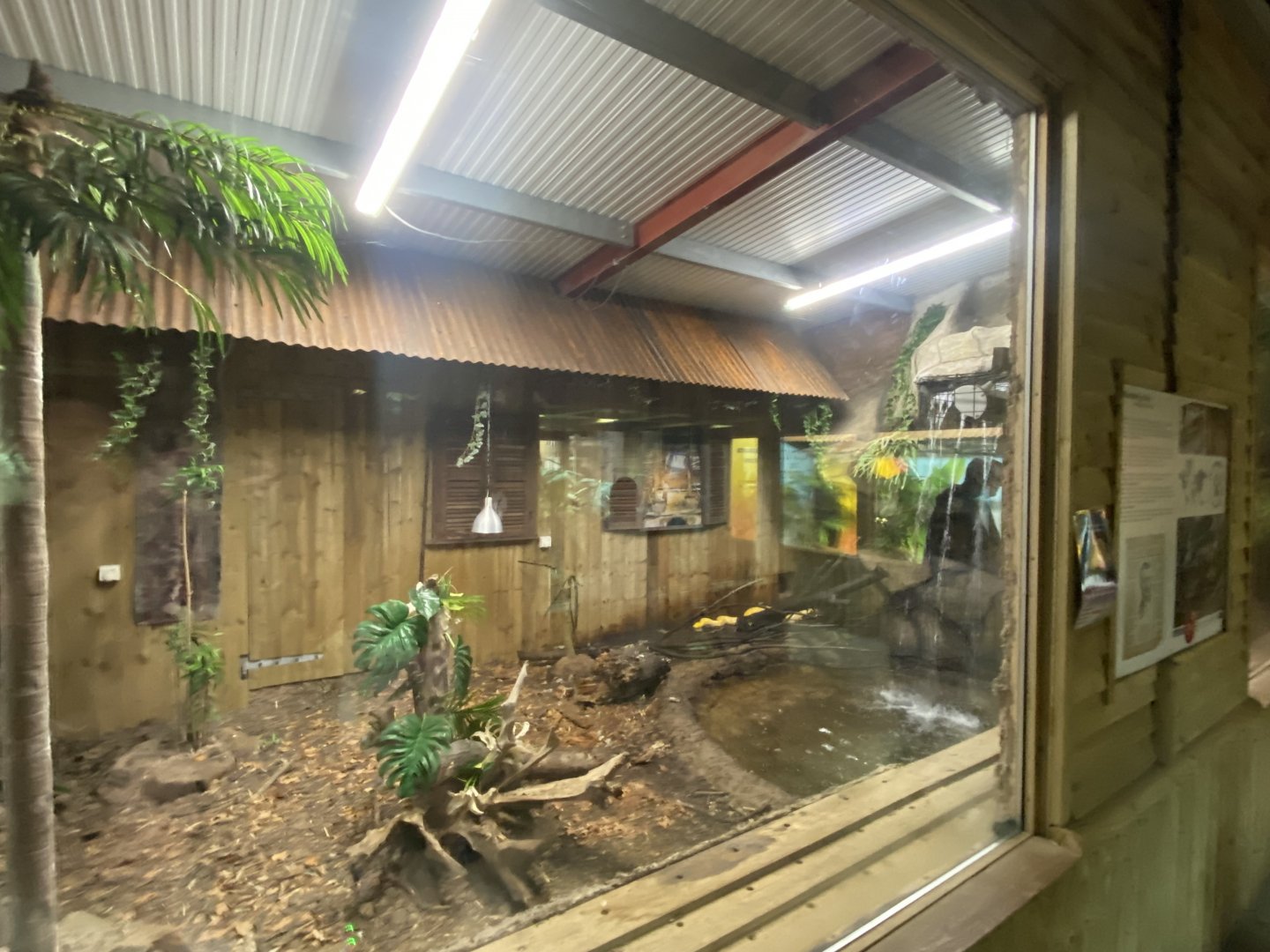 Reptile House - Reticulated python exhibit 030924