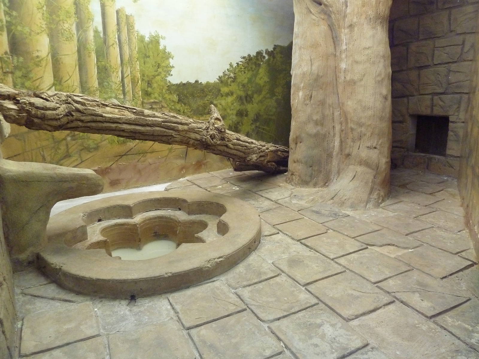 Reptile House - Reticulated Python Exhibit