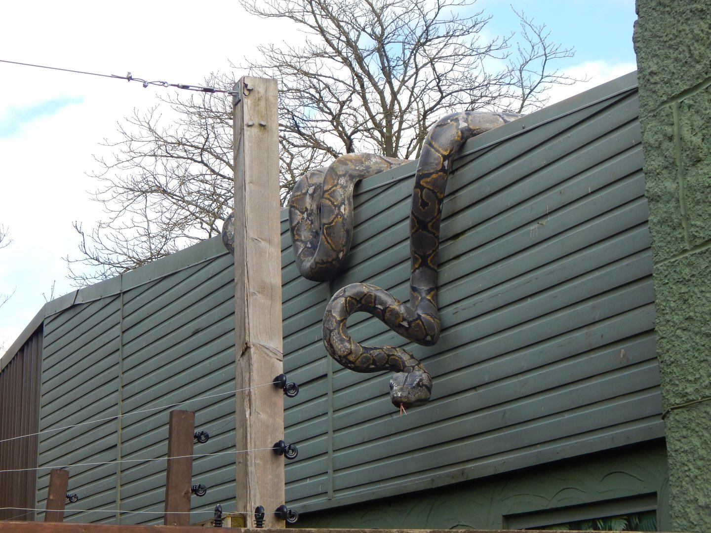 Reptile House roof decoration 040324