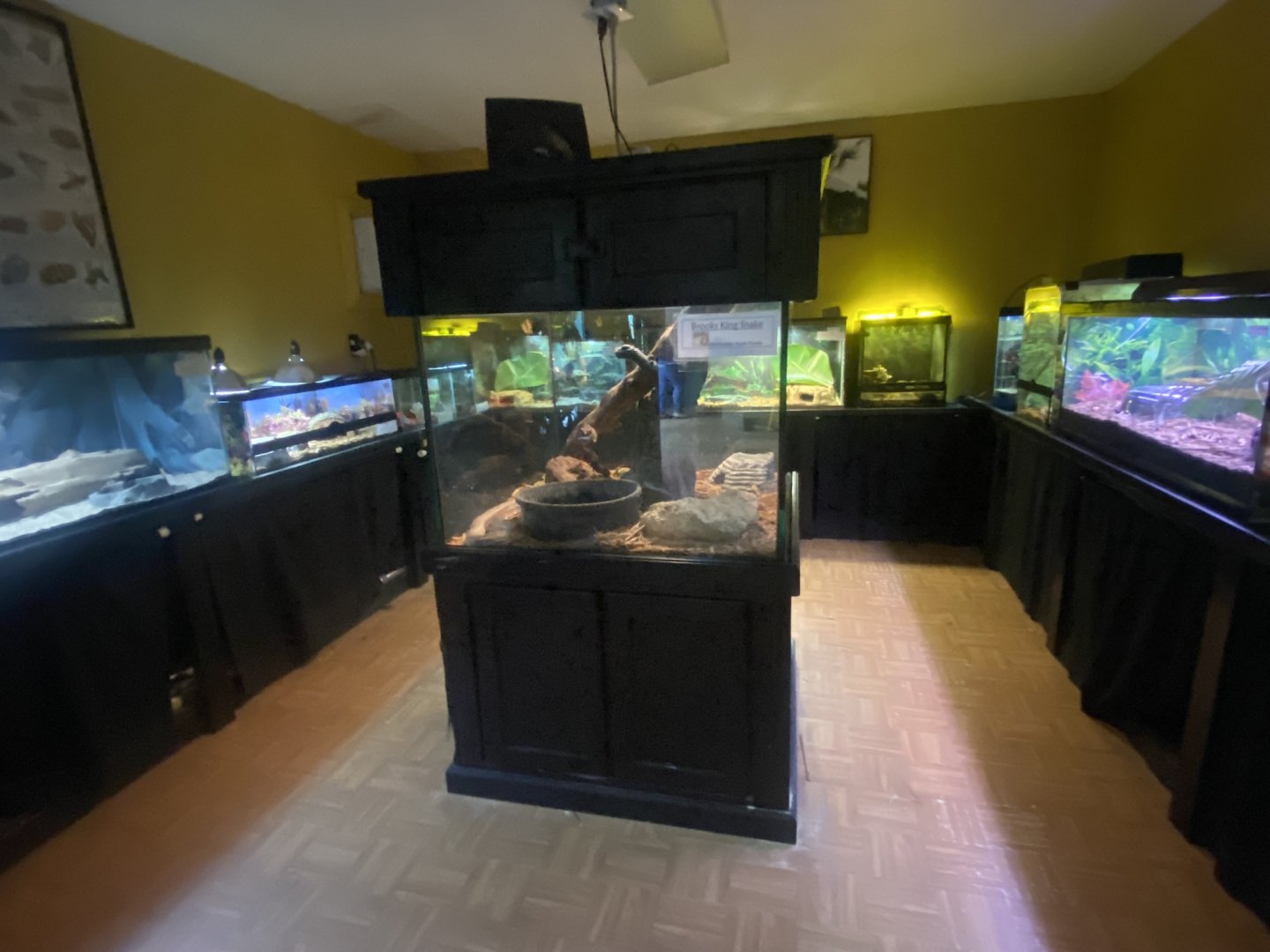 Reptile House - Room #1