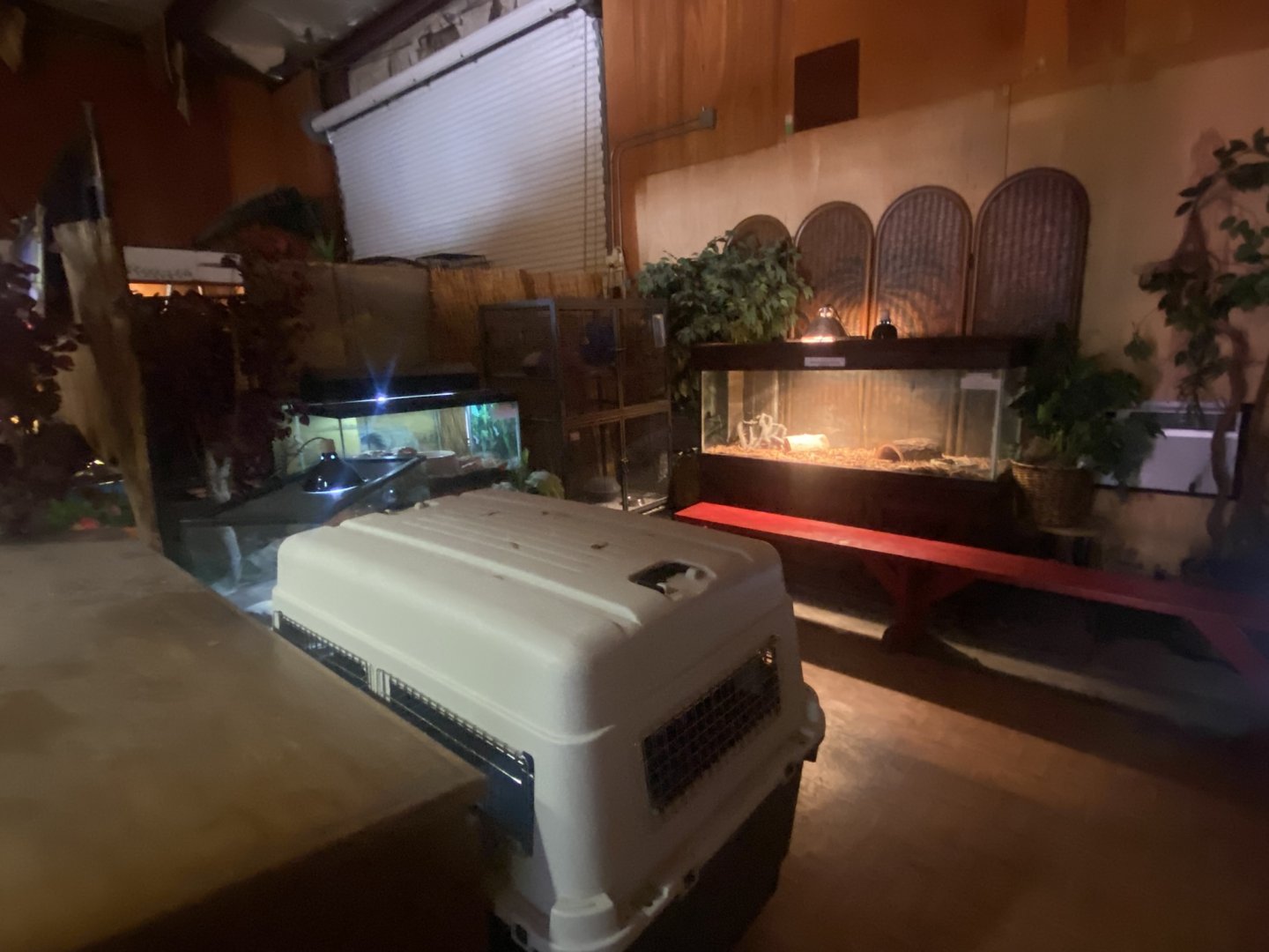 Reptile House - Room #2