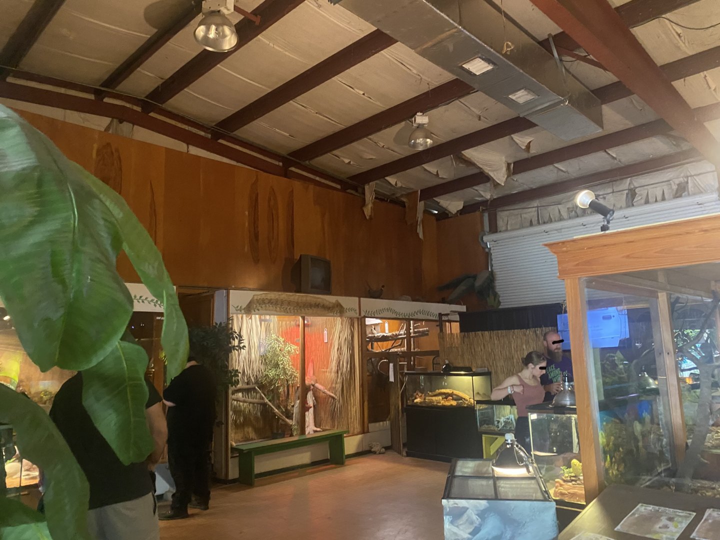 Reptile House - Room #3