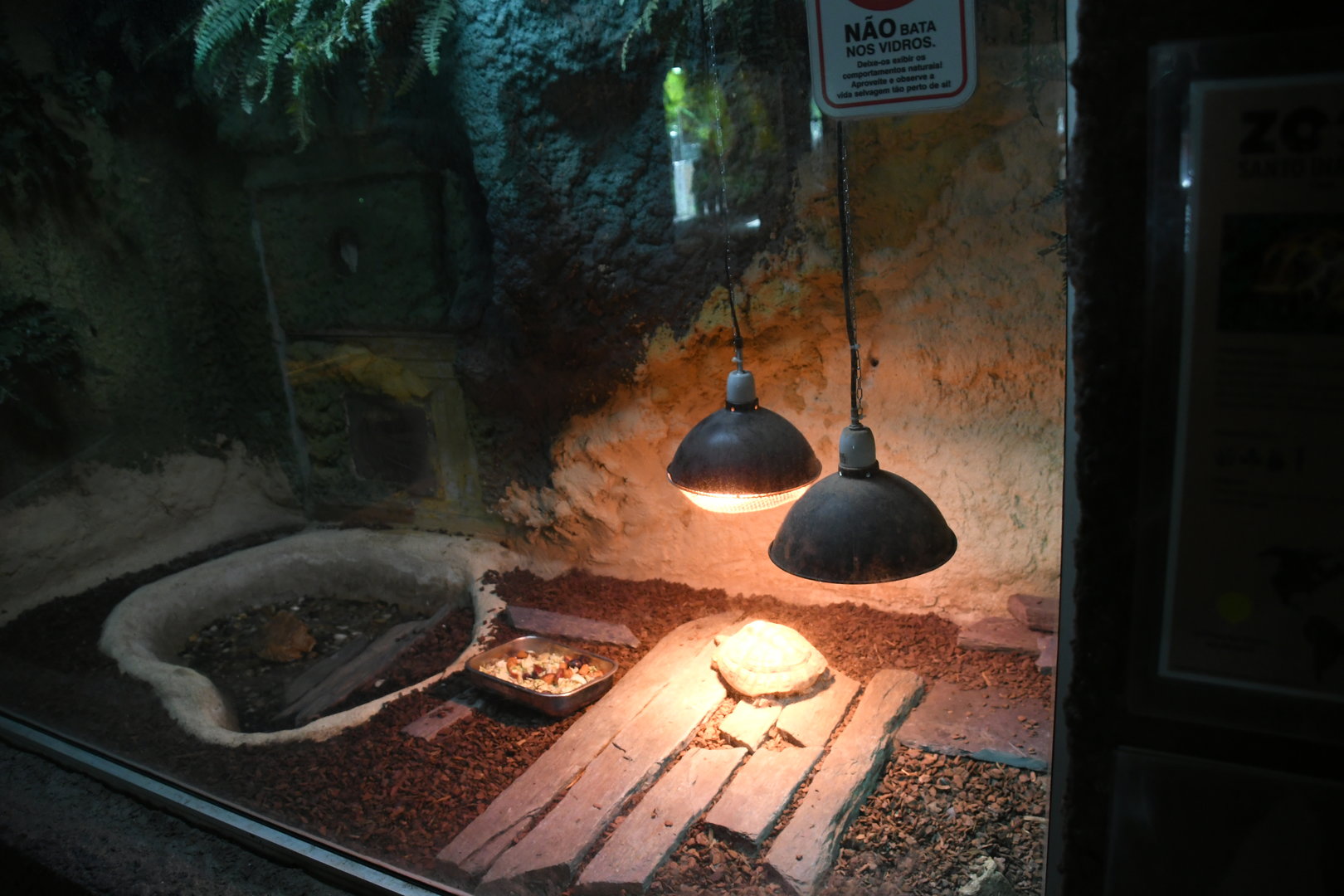 Reptile House (Russian Tortoise exhibit)