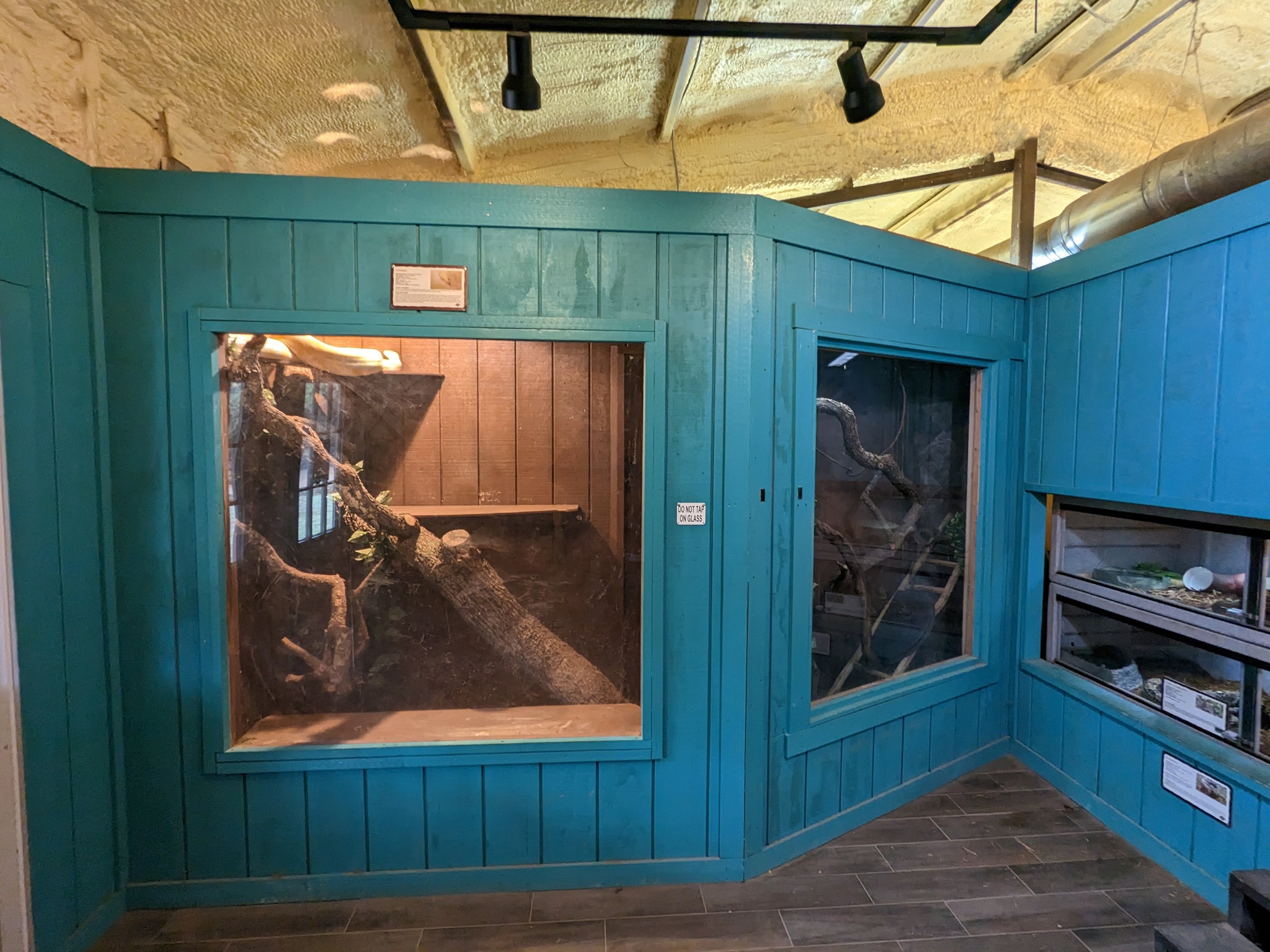 Reptile house second side - Albino Burmese python terrarium.