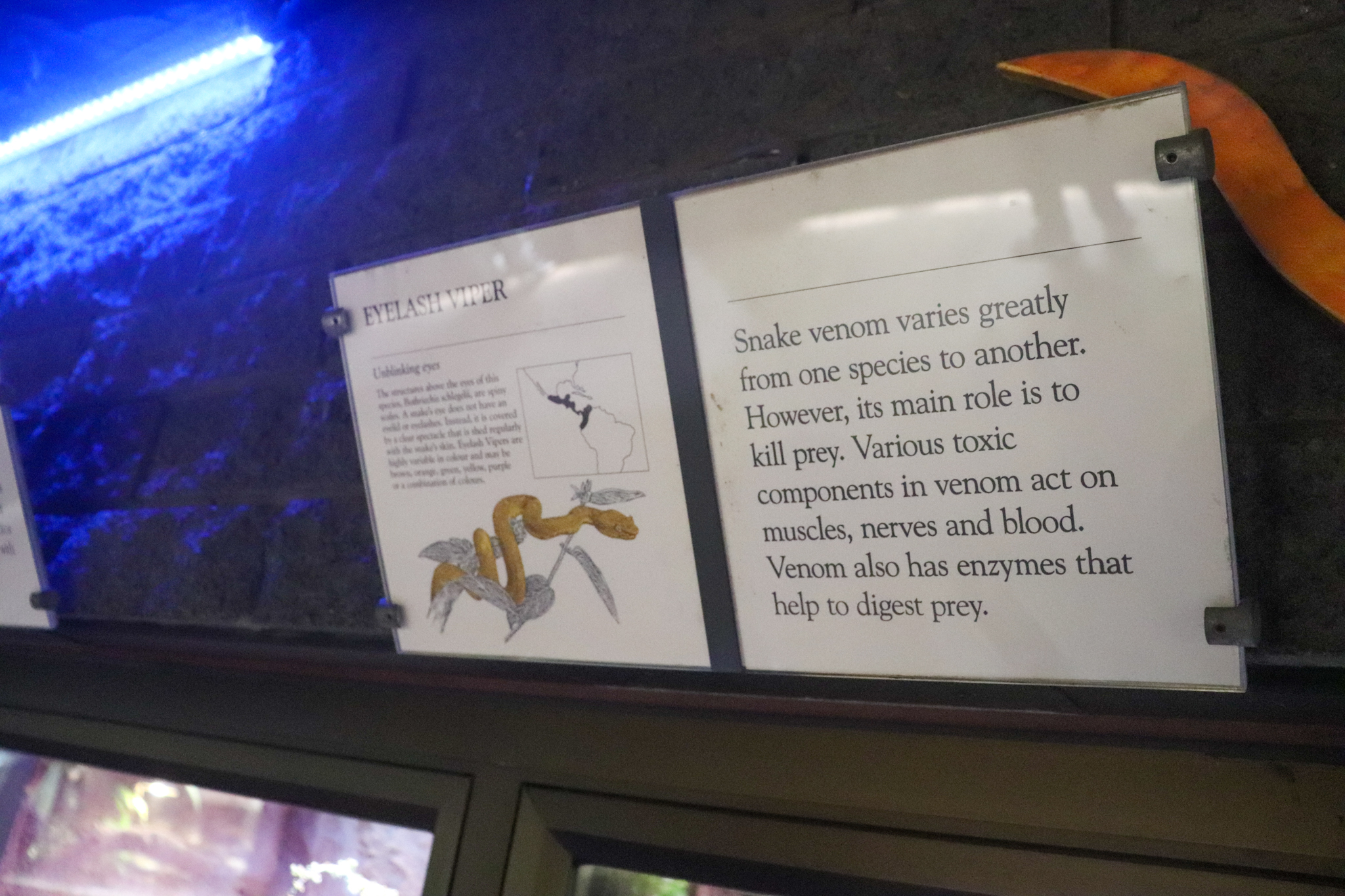 Reptile House - Signage Example - December 2018