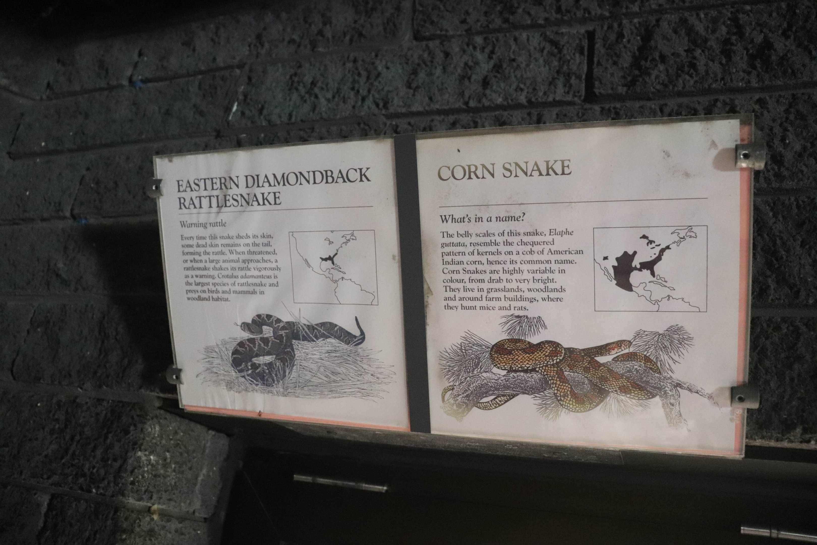 Reptile House Signage Example
