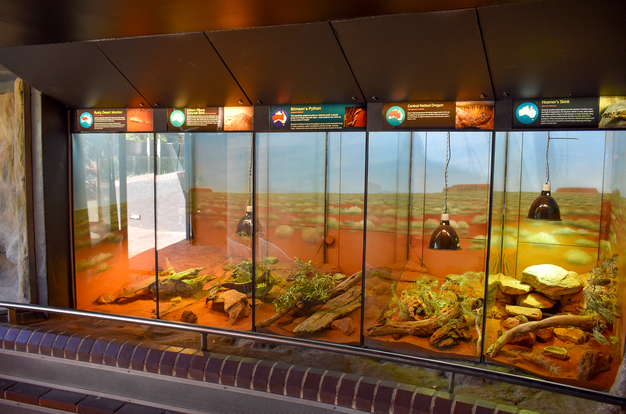 Reptile House - Small Desert Reptile Exhibits