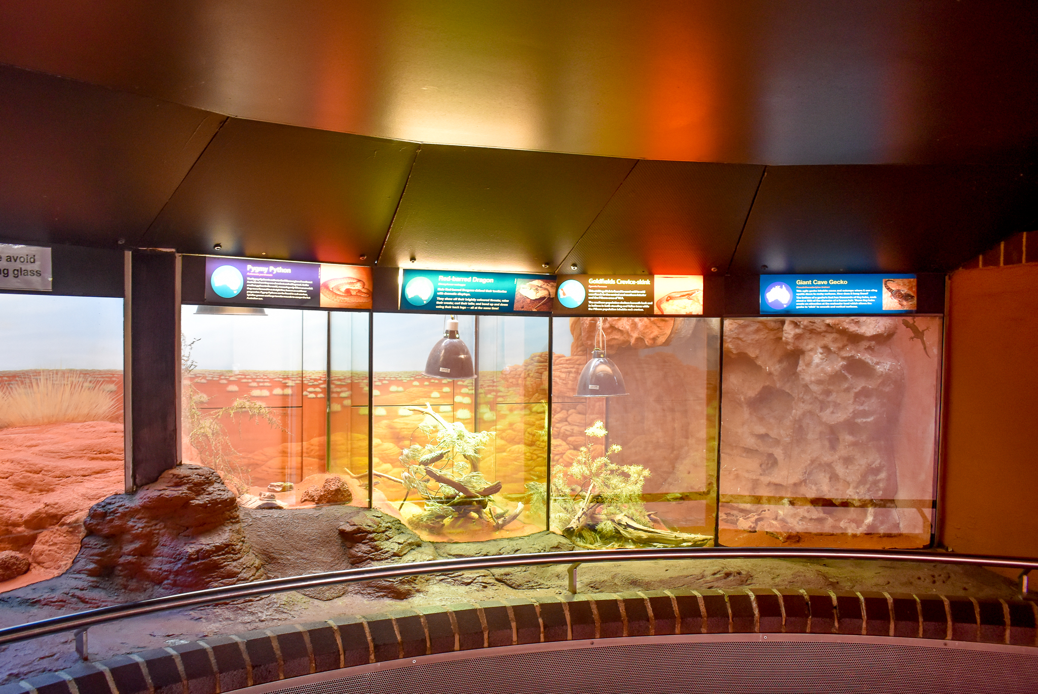 Reptile House - Small Desert Reptile Exhibits