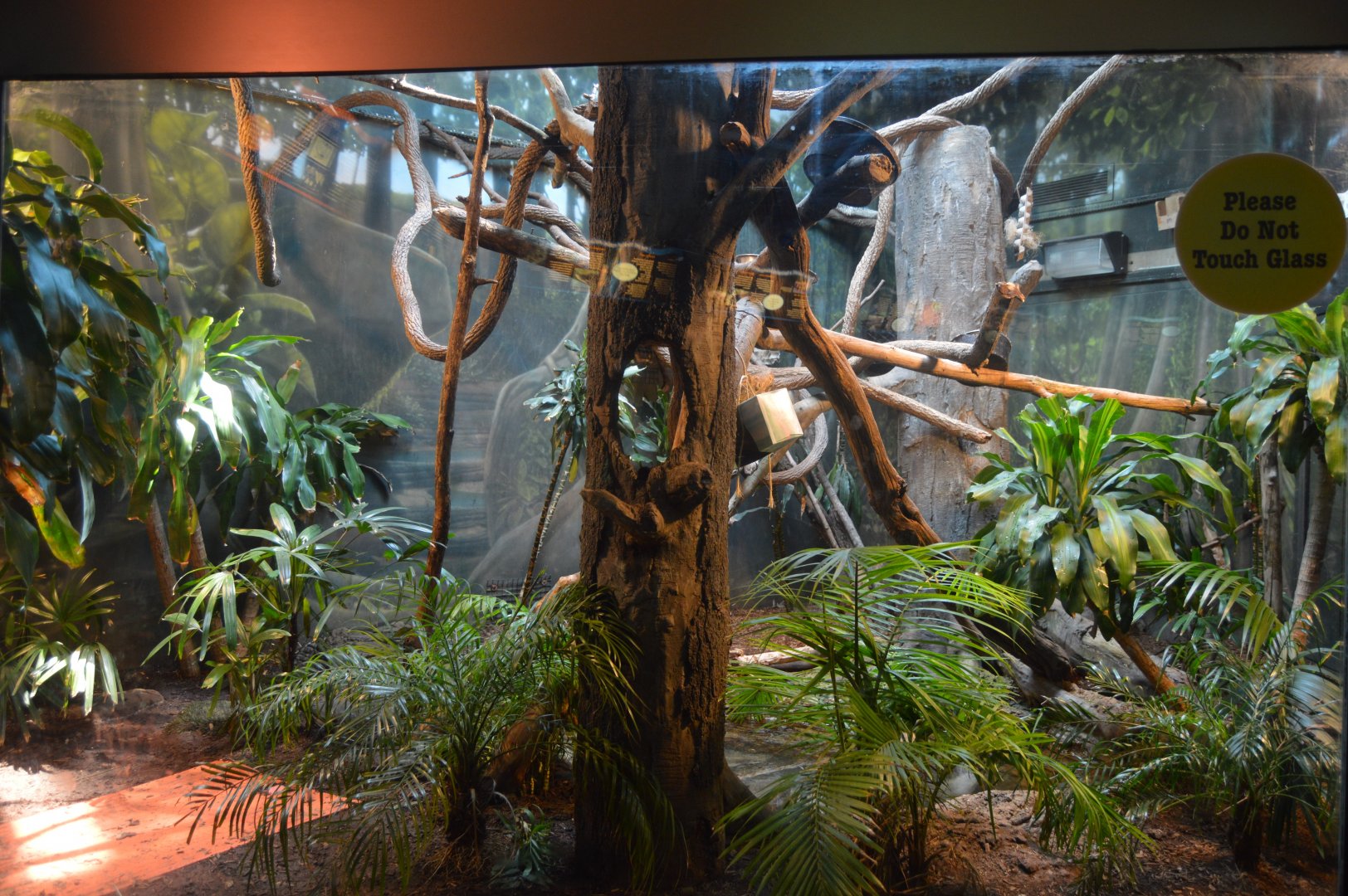 Reptile House - South America Exhibit