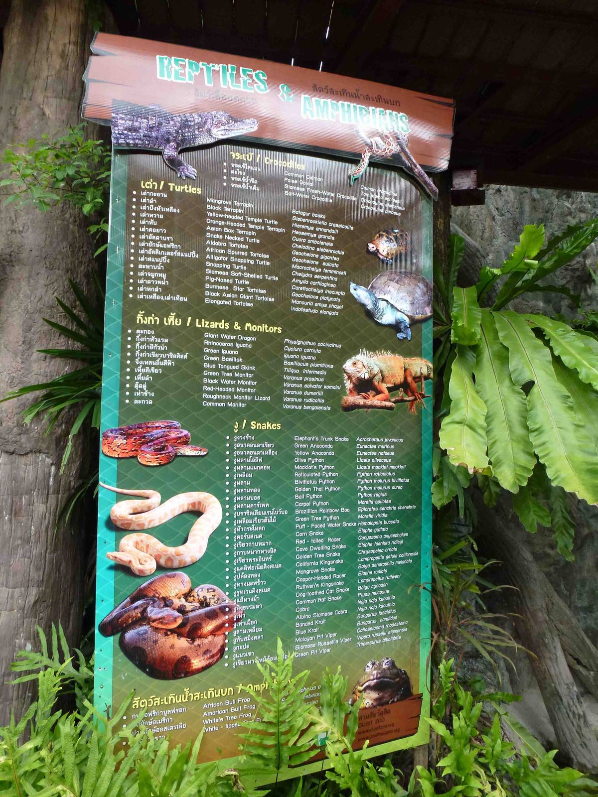 Reptile house species list, July 2013.