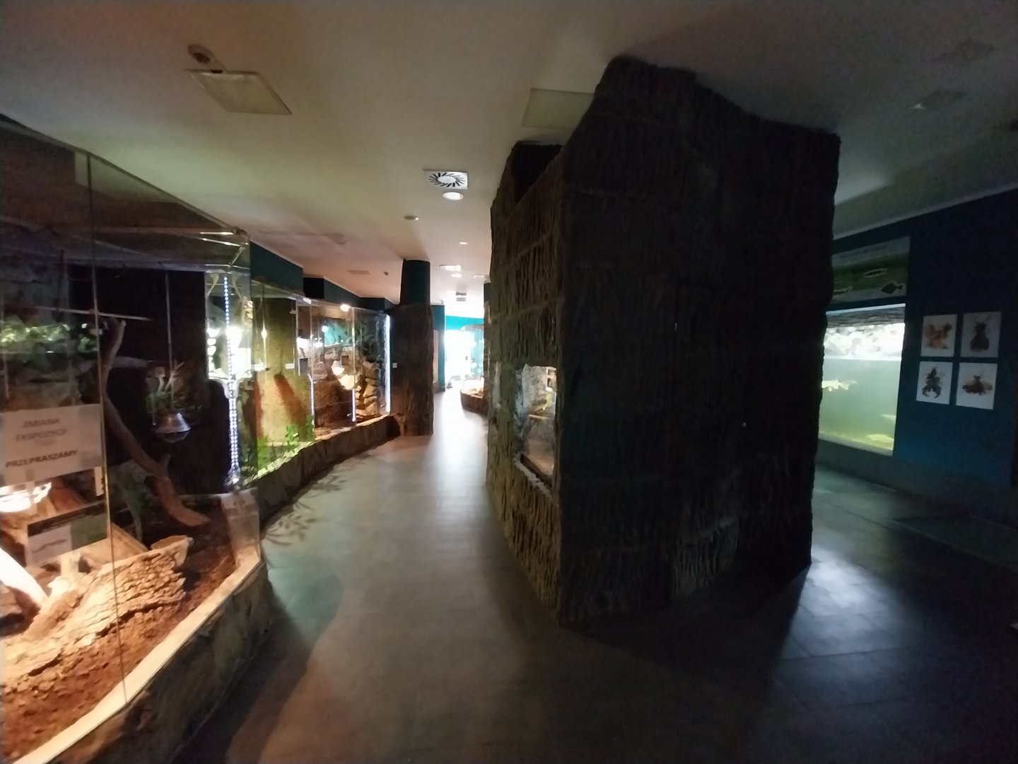 Reptile House - start of tour