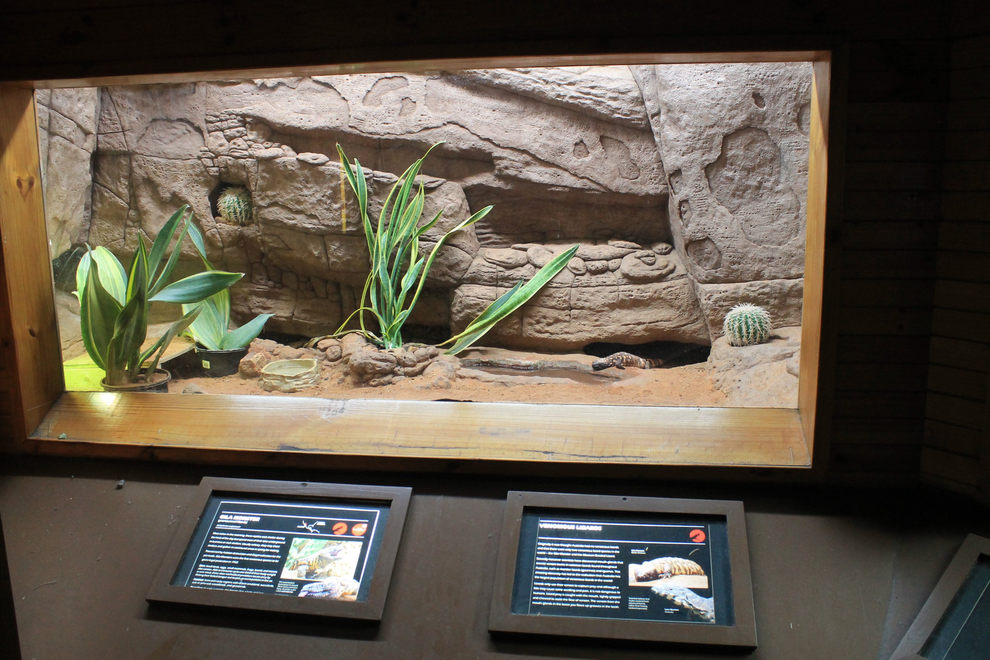 Reptile House tank example (Gila Monster)