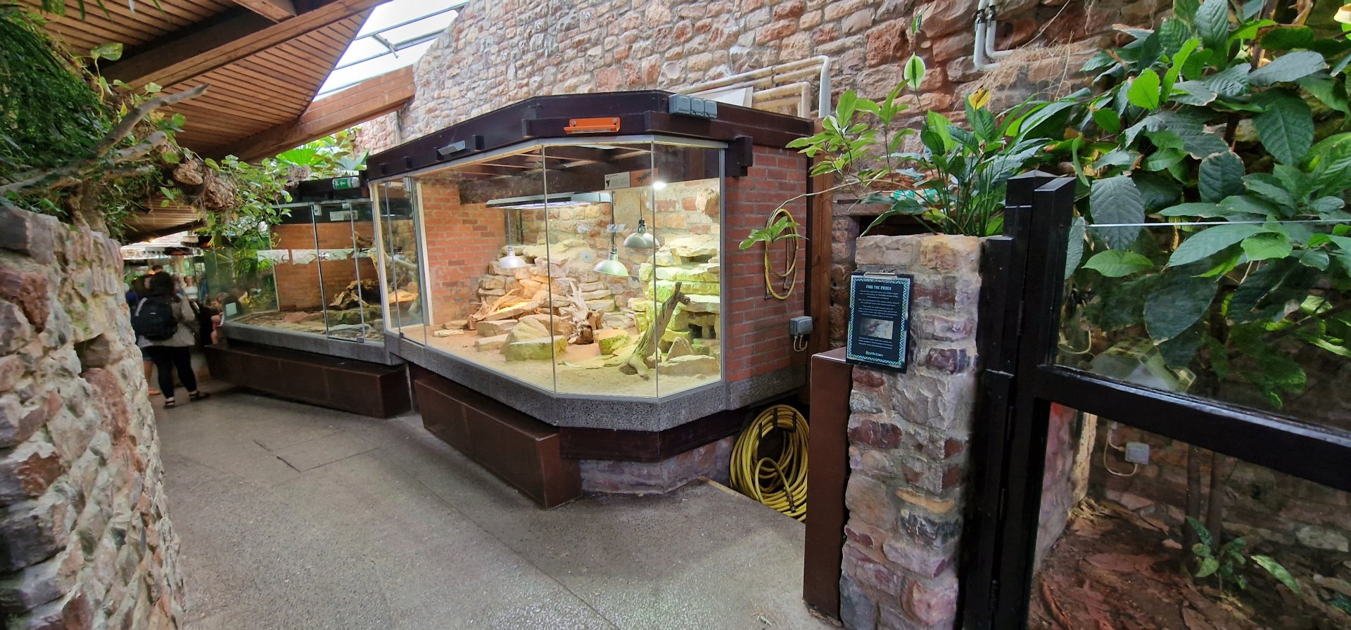 Reptile house tank