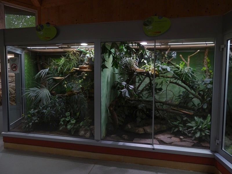 Reptile House: Terraria for Fiji iguana and plumed basilsk