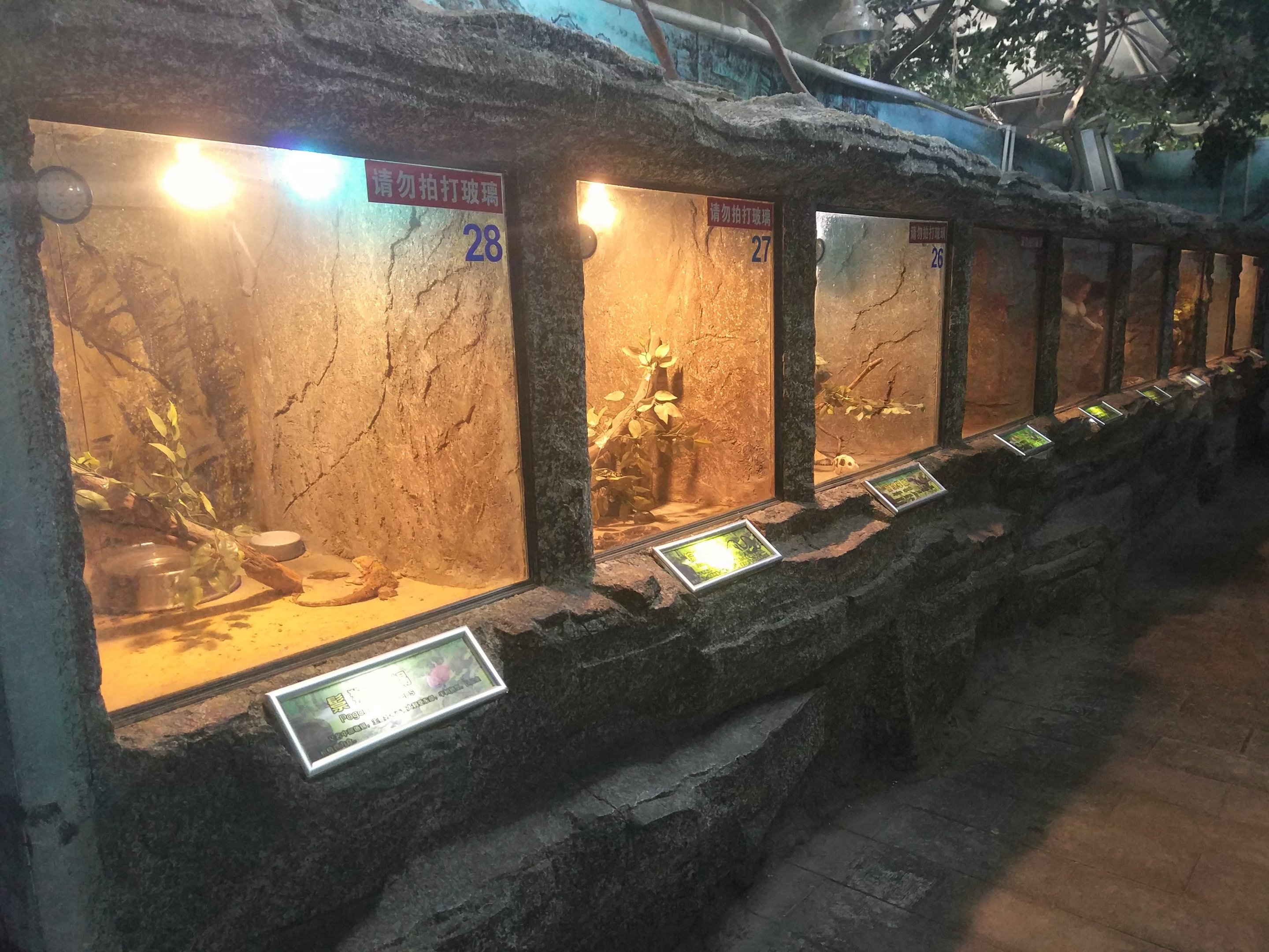 Reptile House Terraria