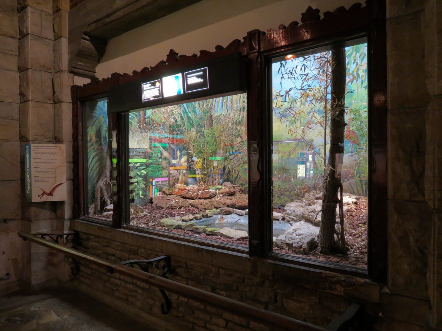 Reptile House - Terrarium