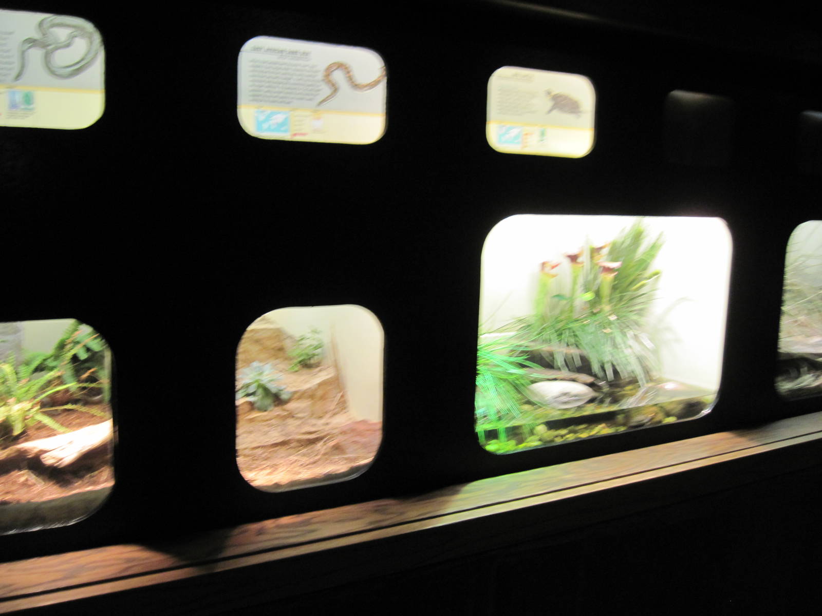 Reptile House-Terrariums