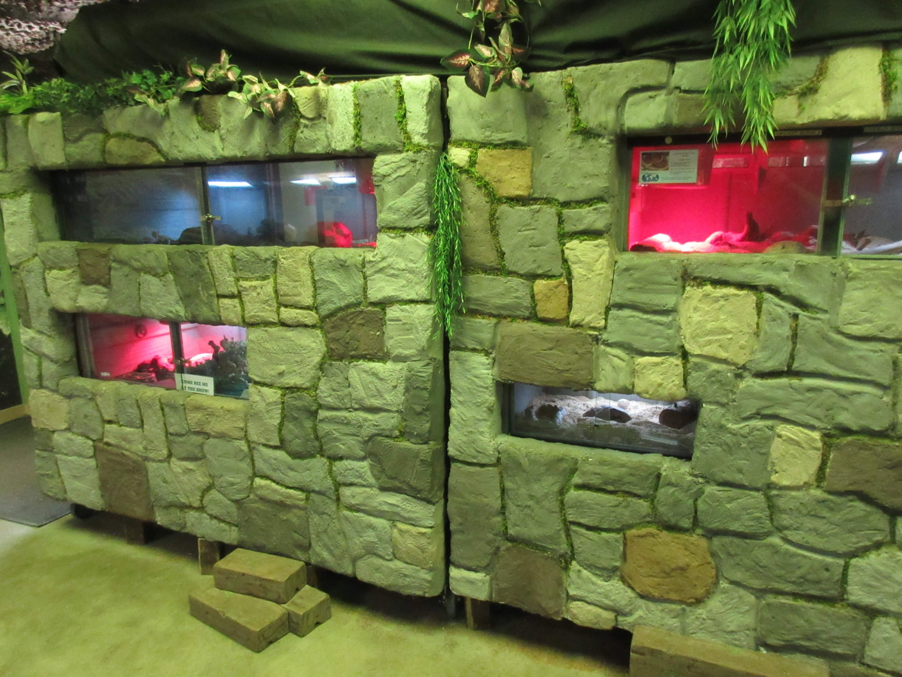 Reptile House - Terrariums