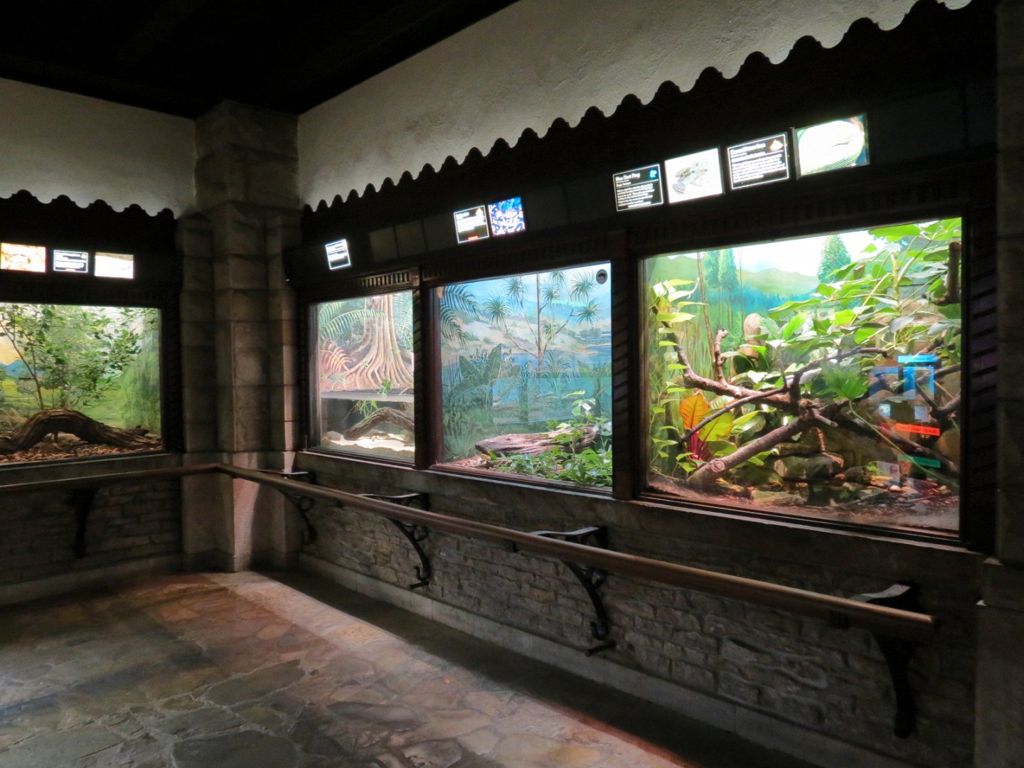 Reptile House - Terrariums