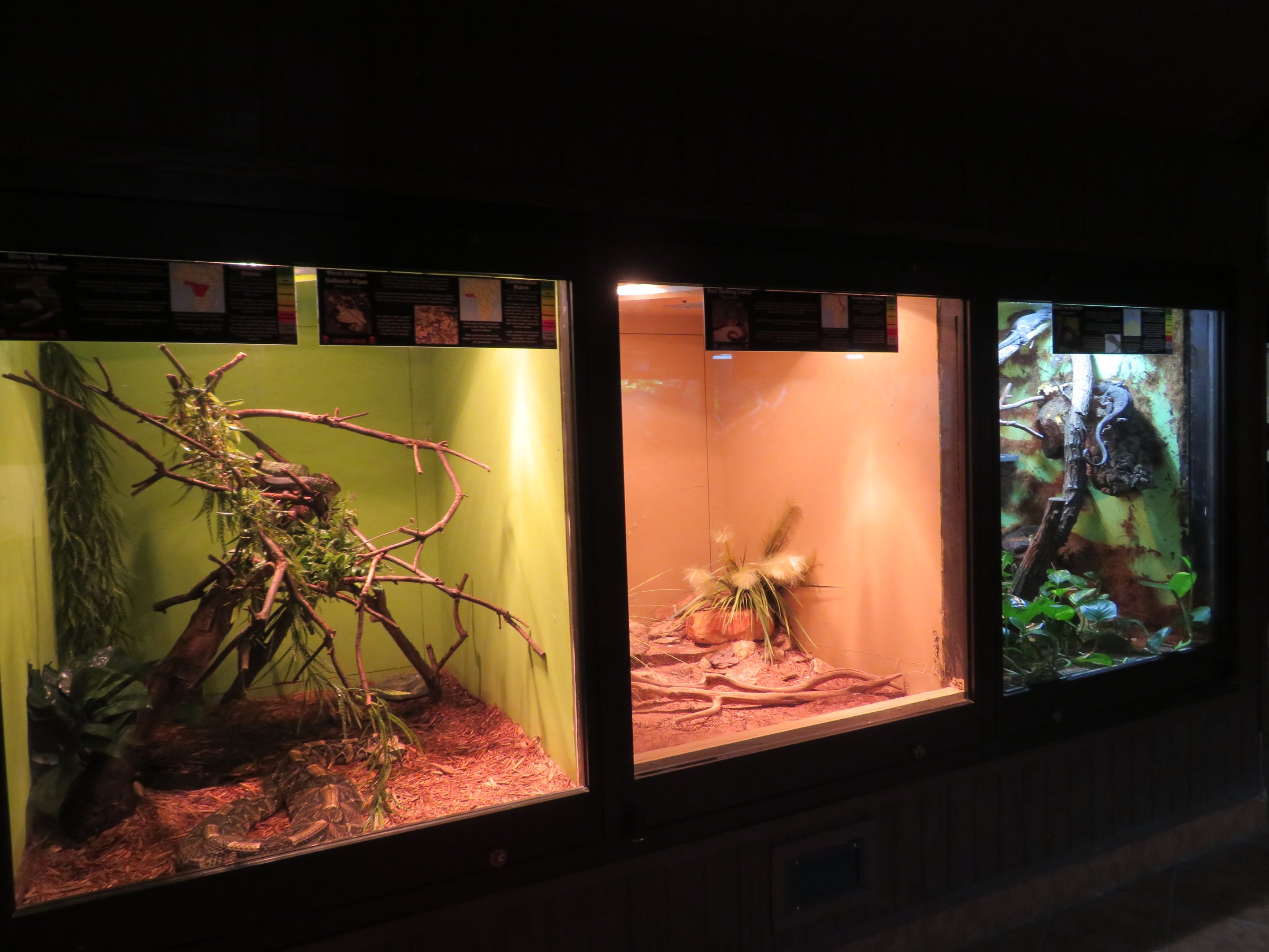 Reptile House Terrariums