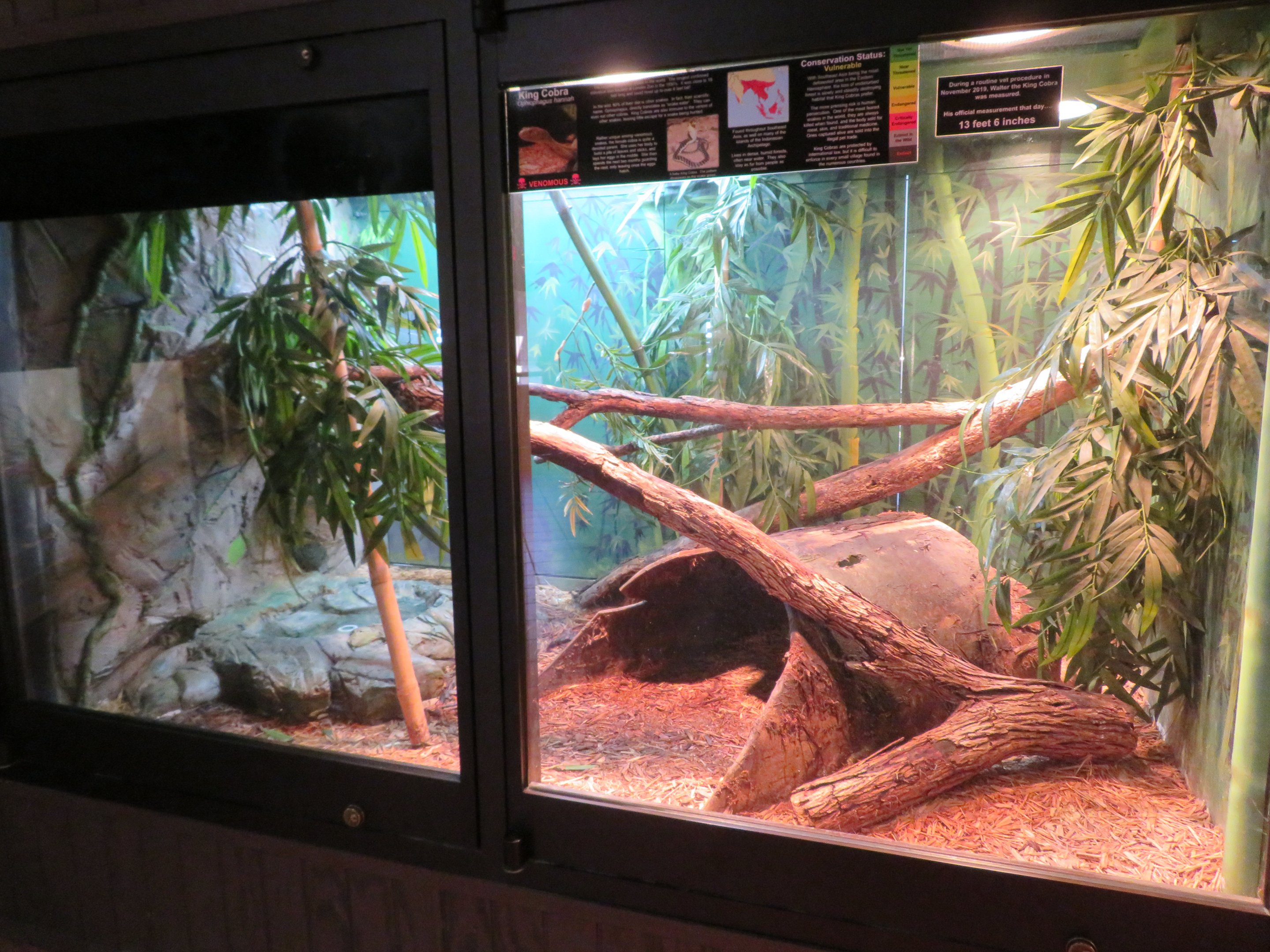 Reptile House Terrariums