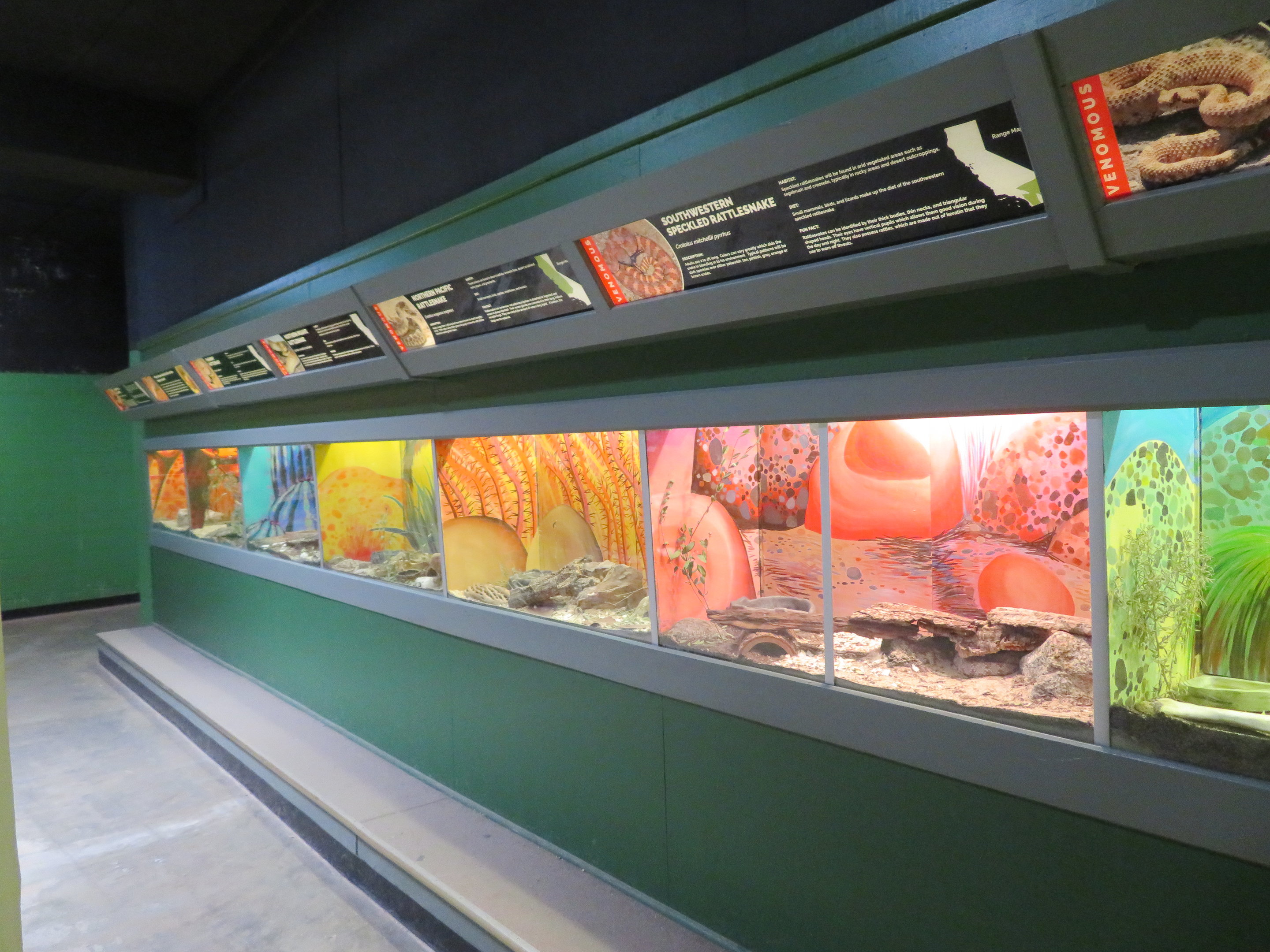 Reptile House Terrariums