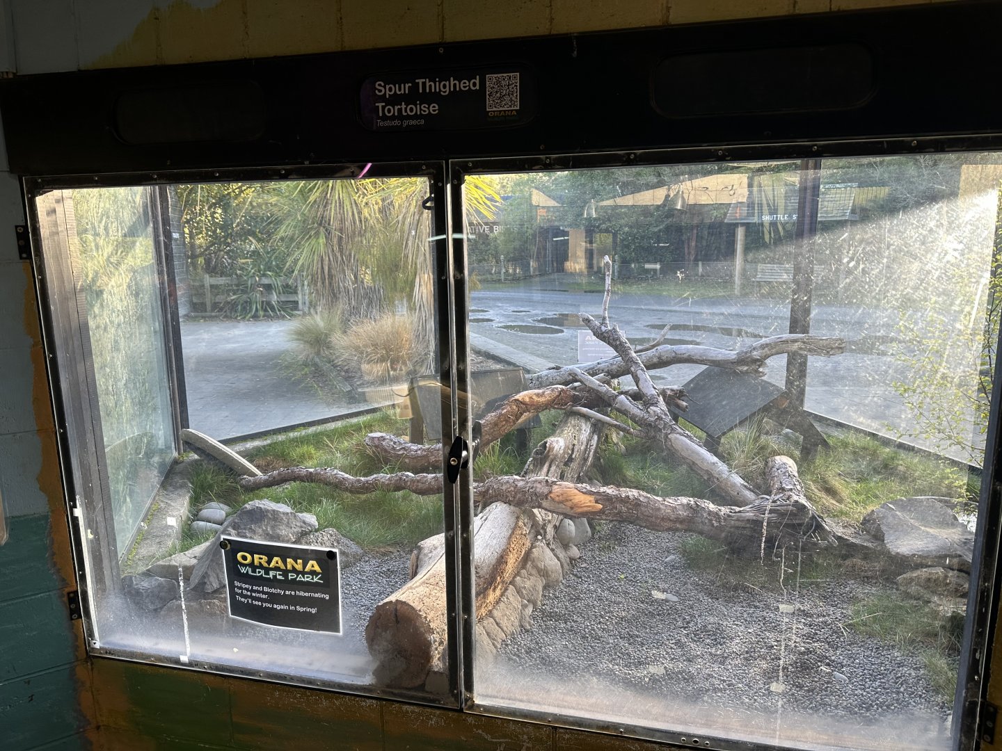 Reptile House (Tortoise Exhibit)