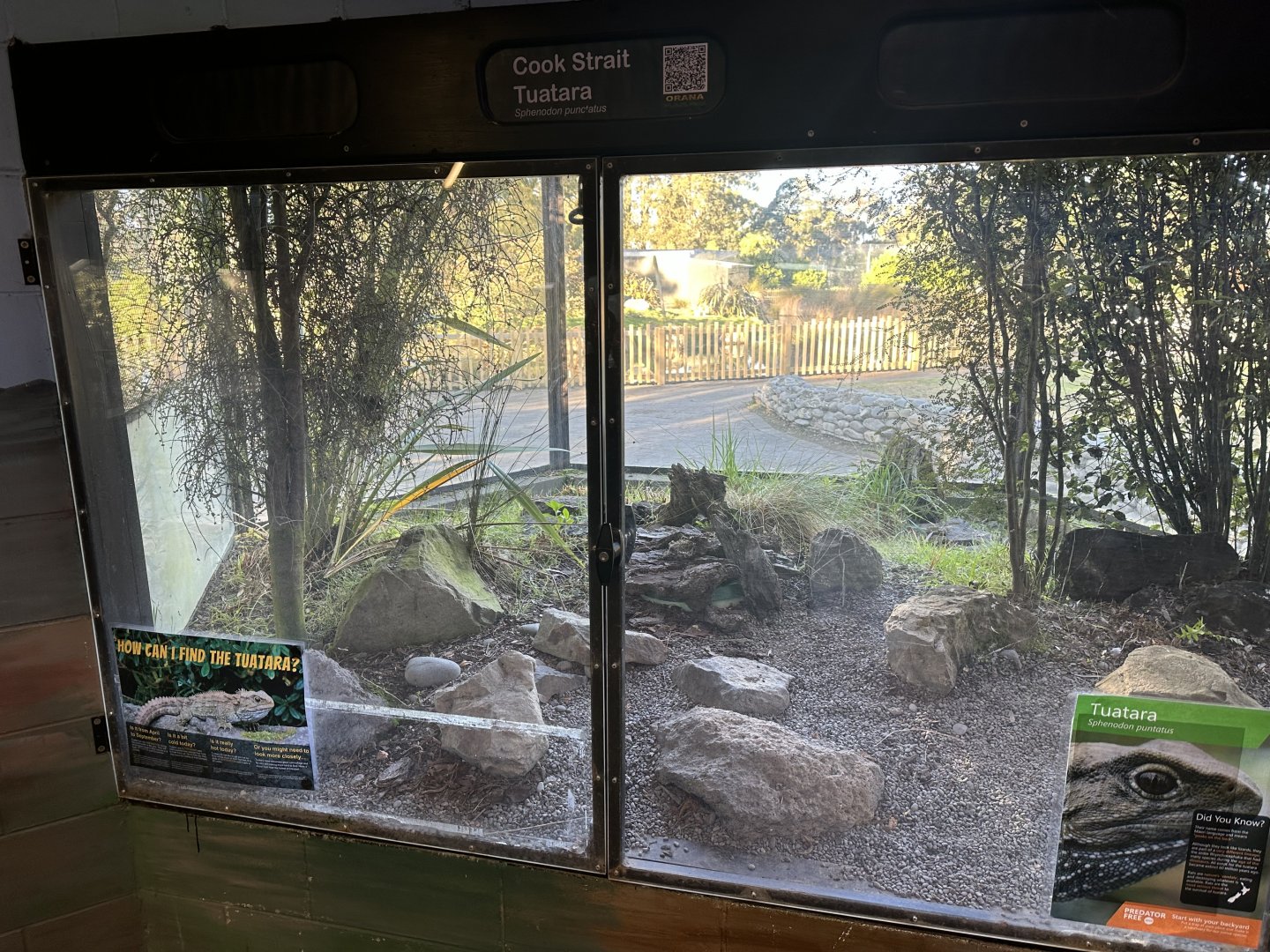 Reptile House (Tuatara Exhibit)