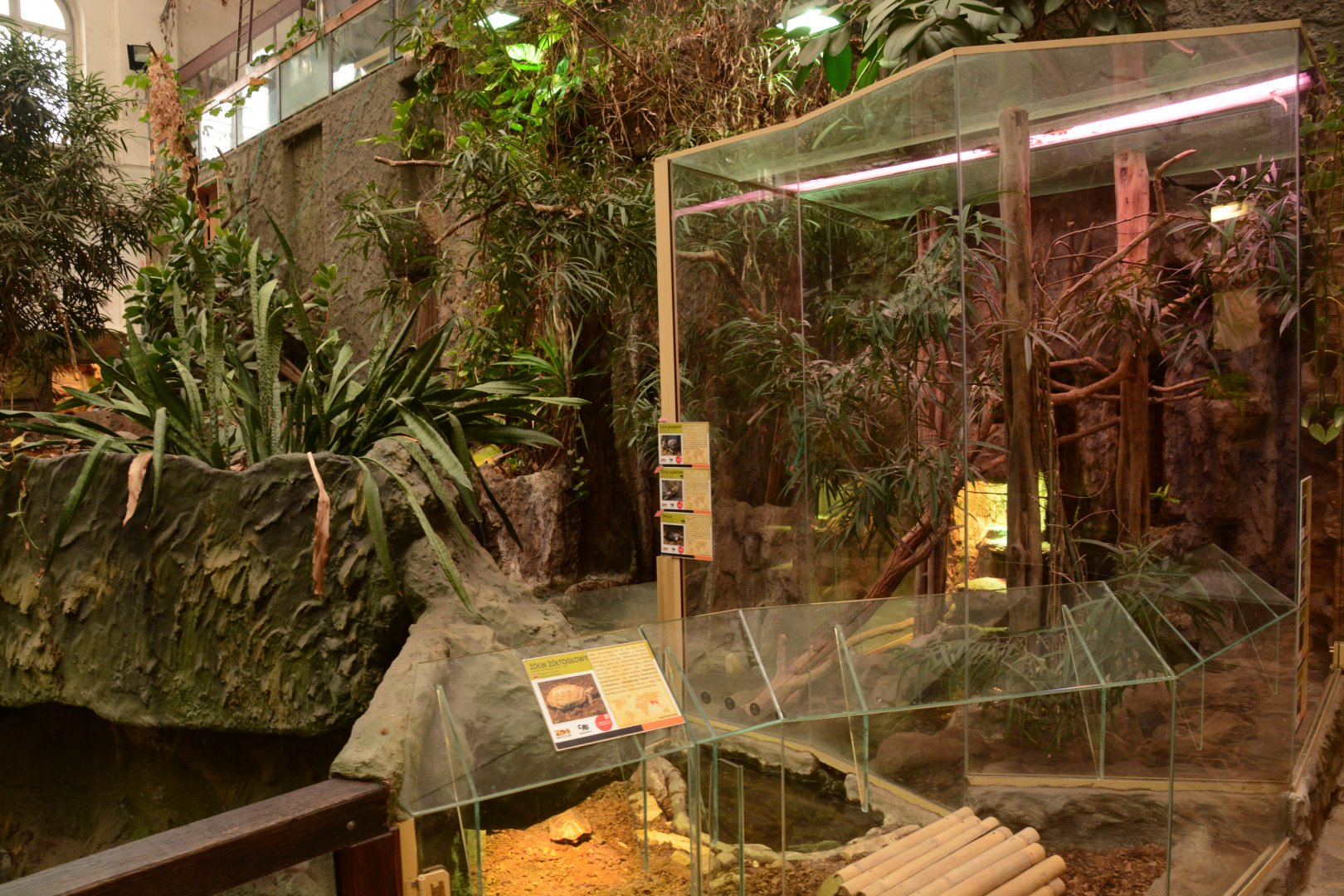 Reptile house - Turtle enclosures