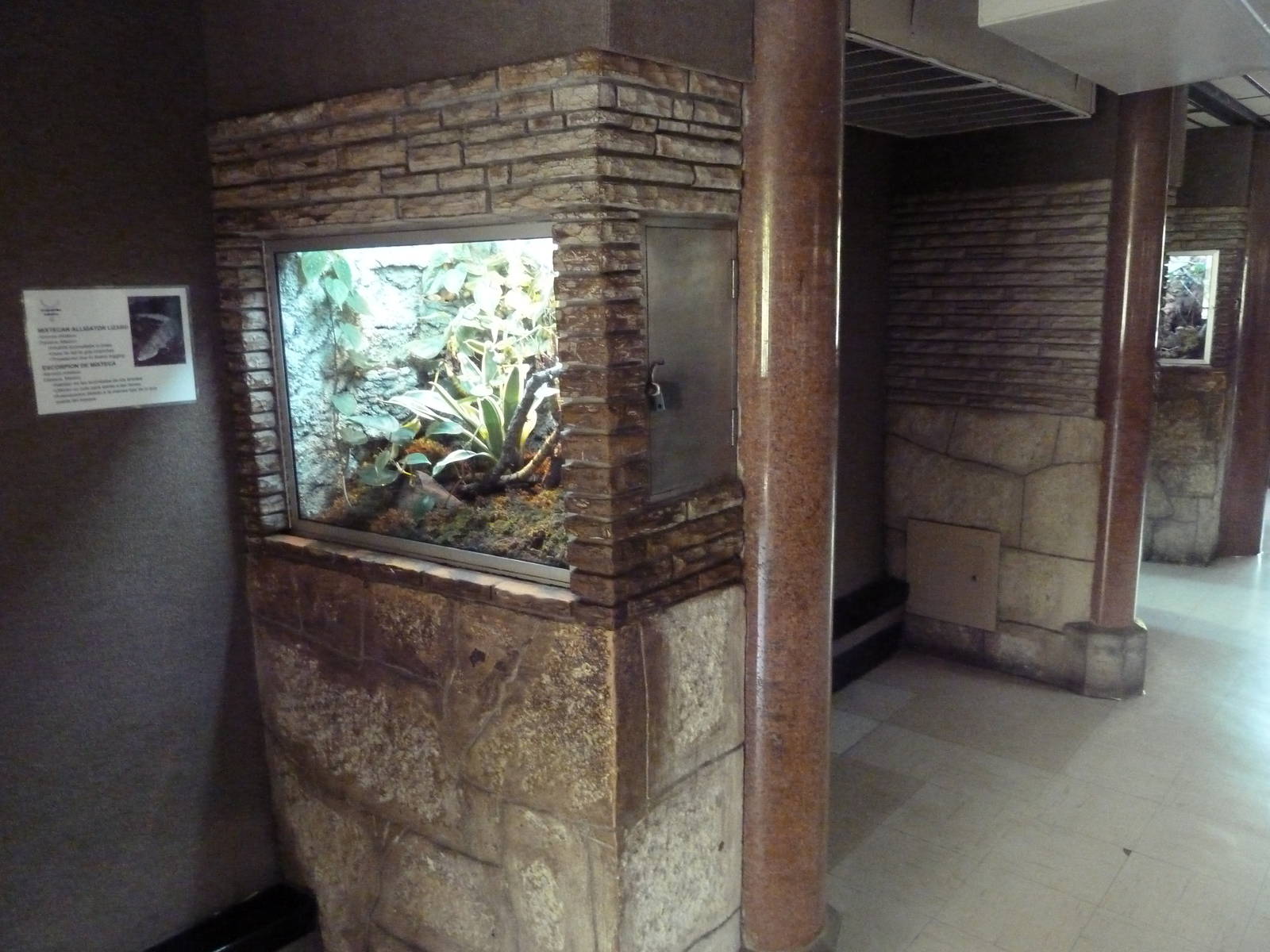 Reptile House - Typical Exhibits