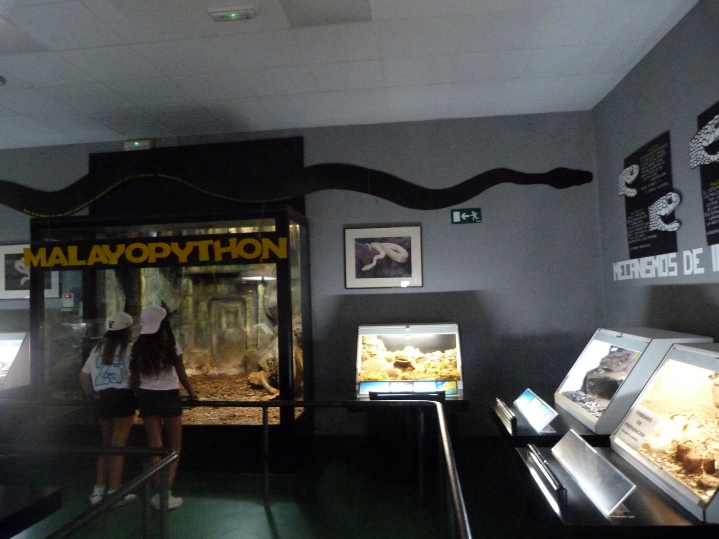 Reptile house view -Parque de la Naturaleza de Cabárceno (2025)