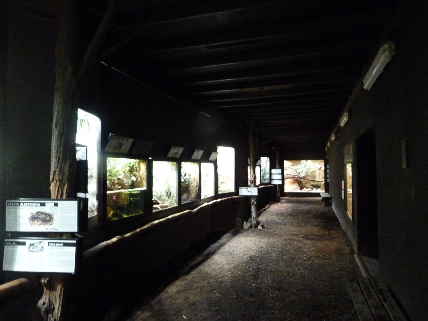 Reptile house view -Zoo Praha (2025)