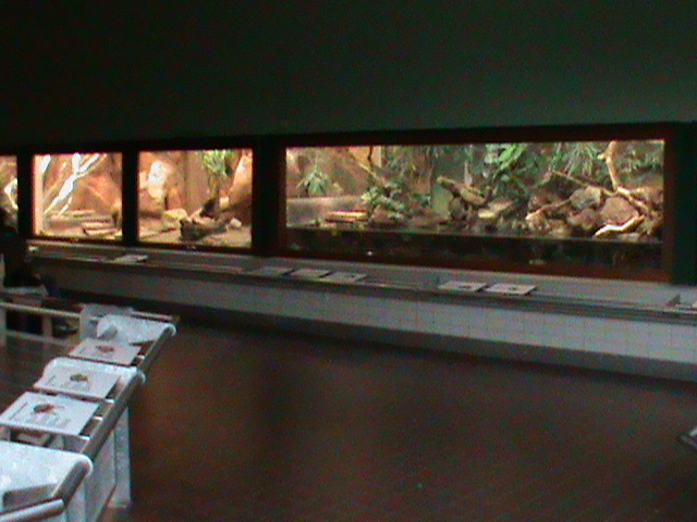 reptile house vivaria 061110