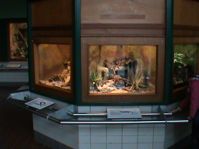 reptile house vivaria 061110