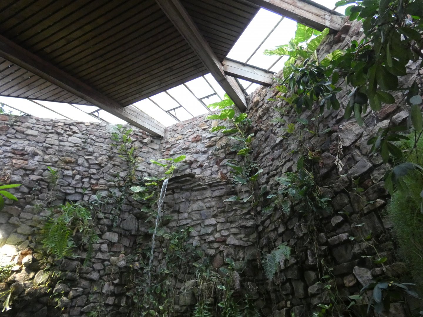 Reptile house waterfall