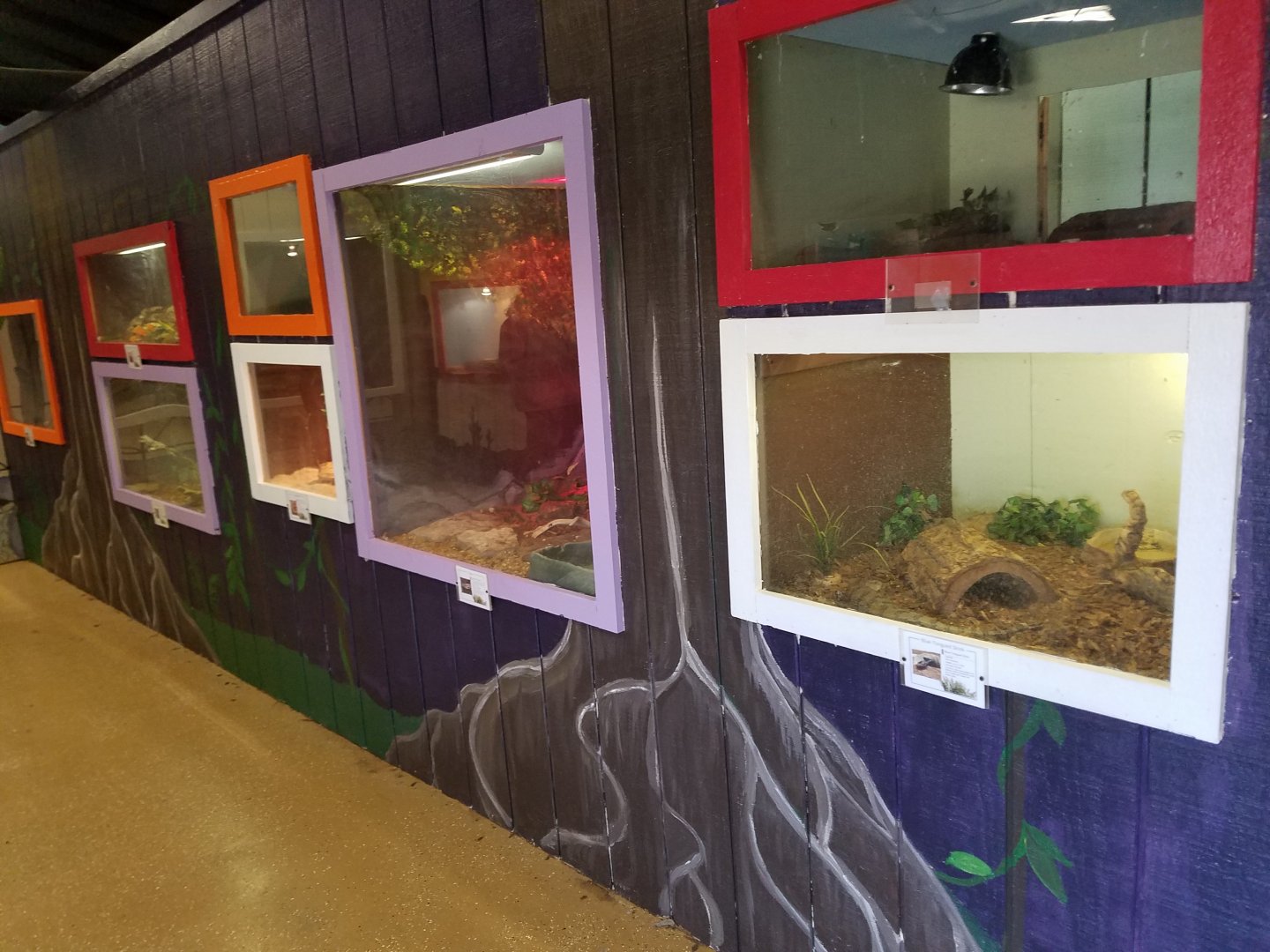 Reptile House- Wild Animal Safari Park