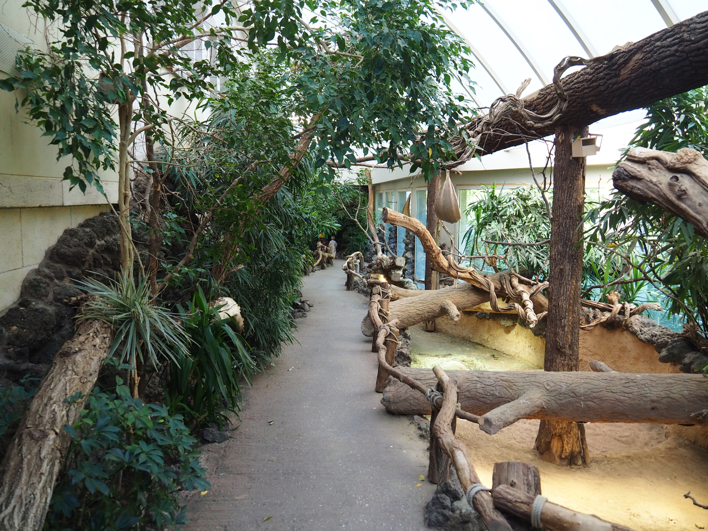Reptile house winter garden, 2020-09-20