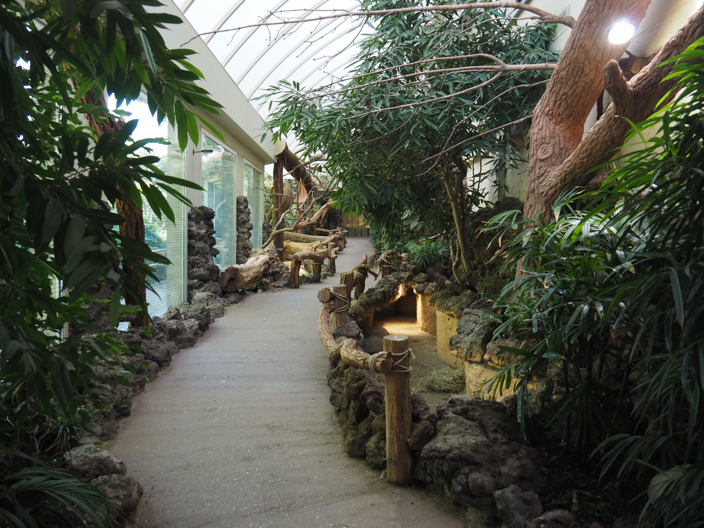 Reptile house winter garden, 2020-09-20